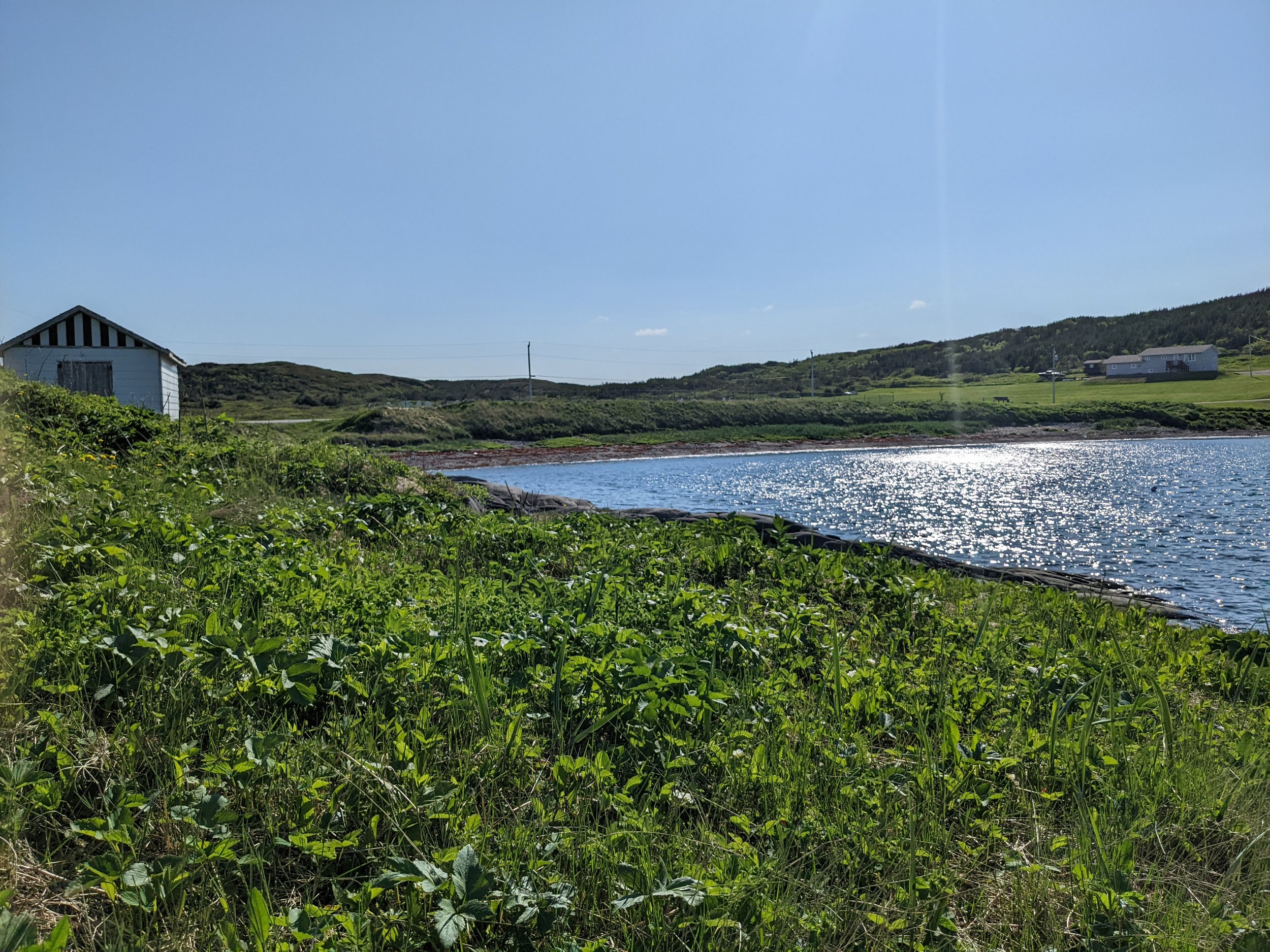 A scenic landscape featuring a body of water with reflections, green grass and plants in the foreground, a hill with houses in the background, and a clear blue sky with a few clouds.