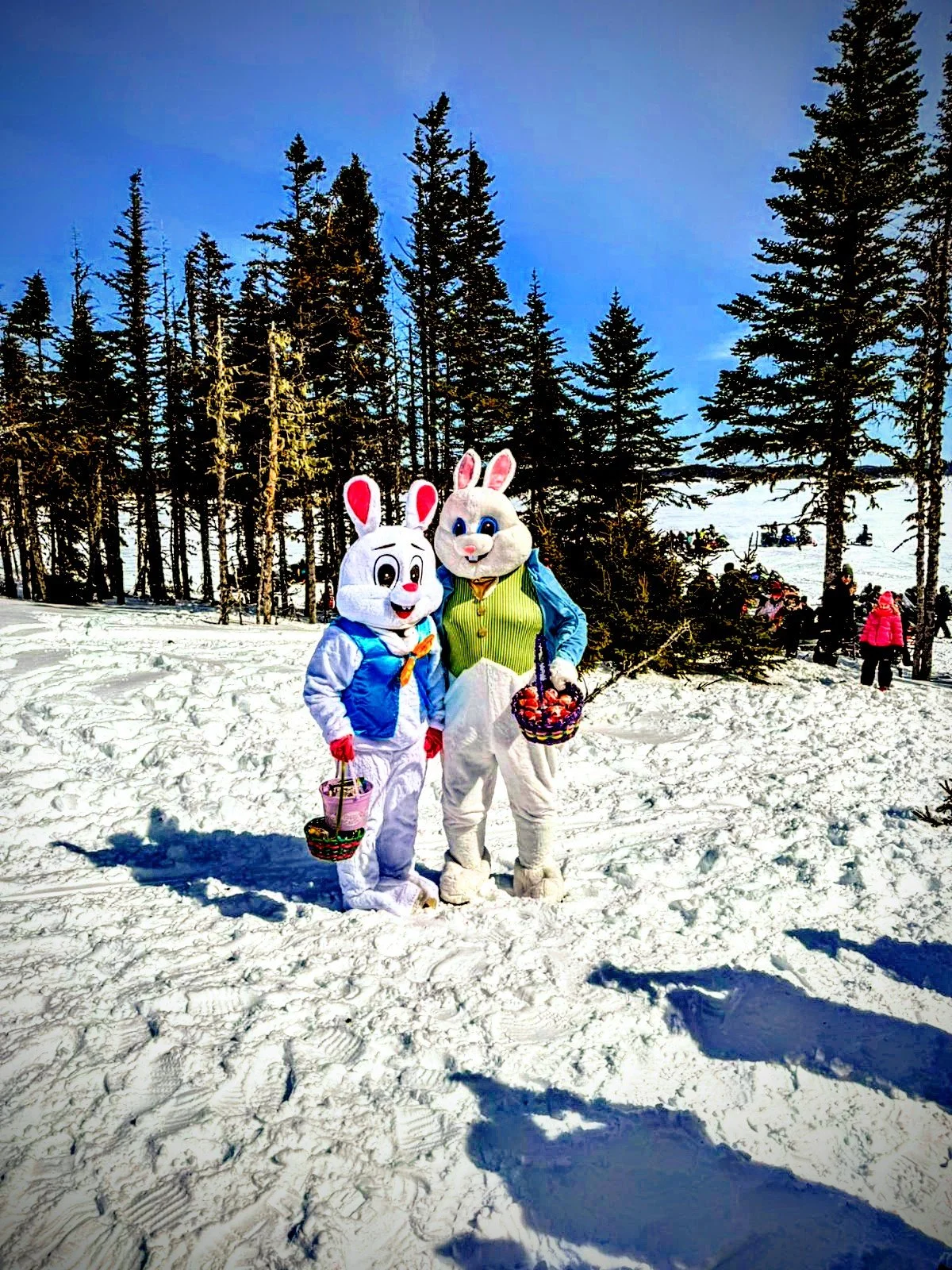 People dressed in Easter Bunny costumes standing in snow with a forest of pine trees in the background, holding baskets.