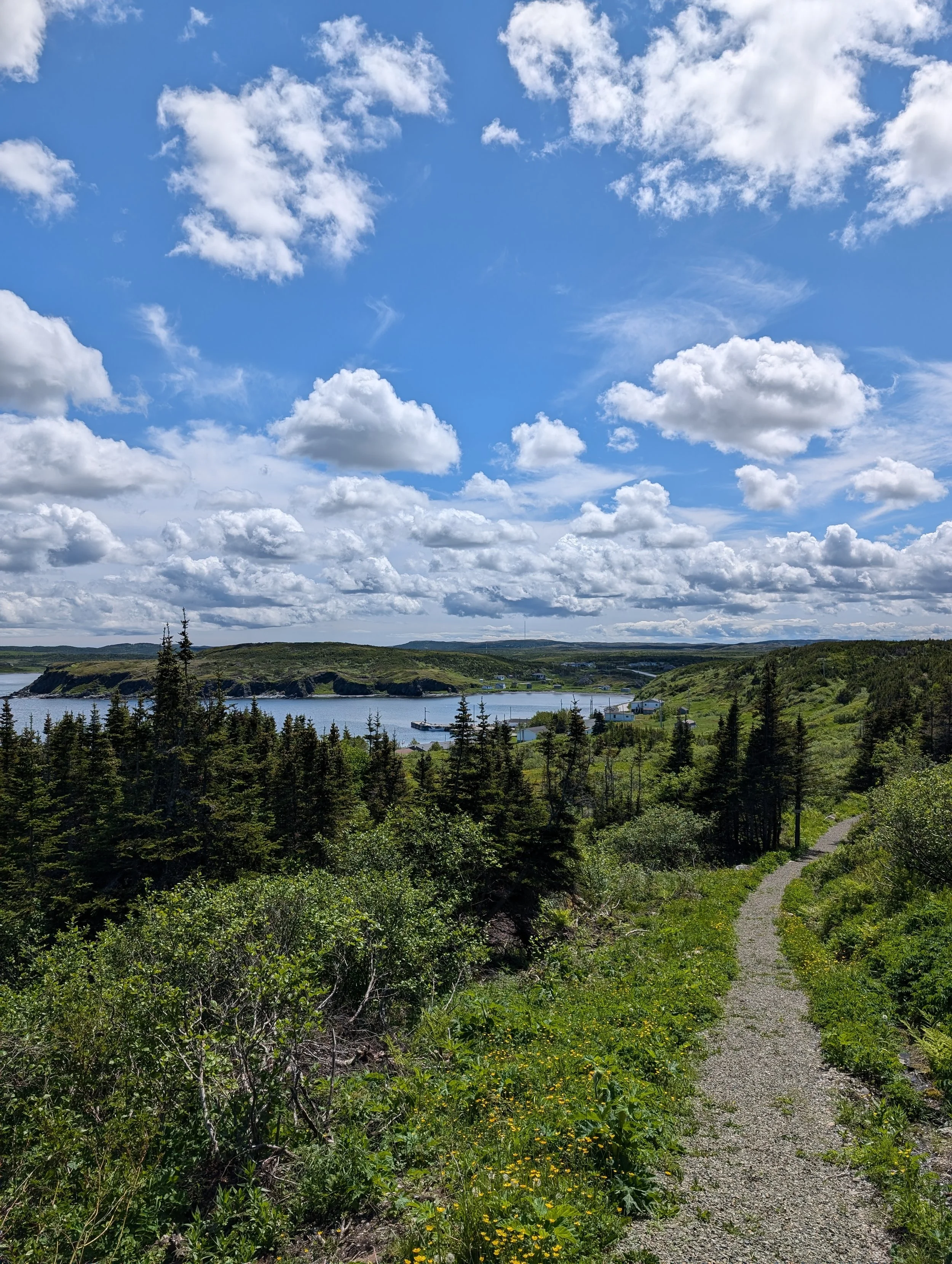 A scenic view of a wide river with surrounding green hills under a partly cloudy blue sky, a trail winding through dense trees in the foreground.