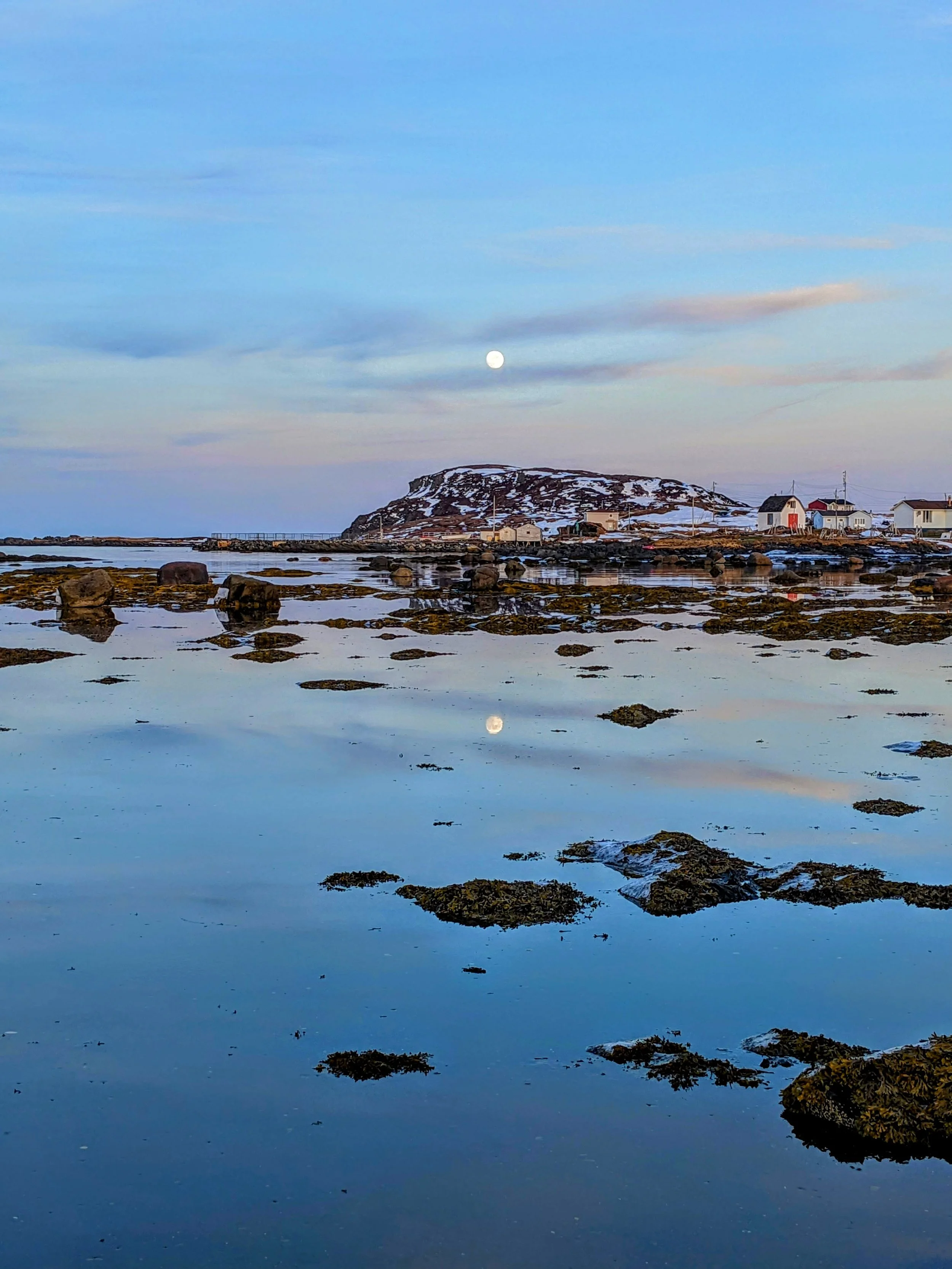 A coastal scene featuring a calm body of water with exposed rocks and seaweed, a small cluster of houses on the shoreline, a snow-covered hill in the background, and a visible full moon in the sky during twilight.