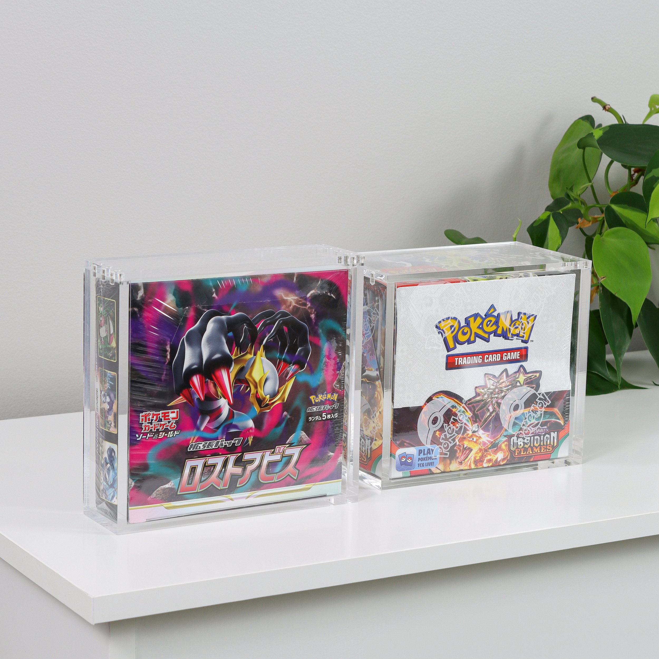 Close-up of Pokémon trading card game boxes on a white shelf against a light gray wall, with green houseplants on the right.