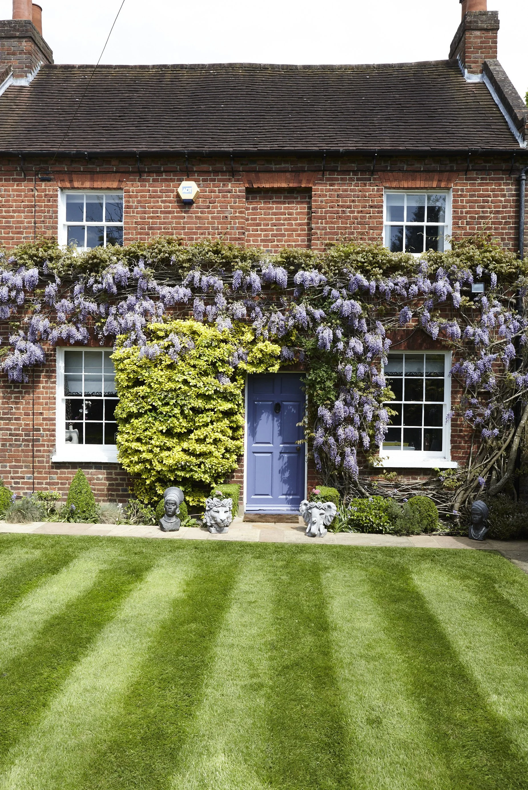 Cottage Noir Front view of a brick house with a blue door, surrounded by green lawn and decorated with purple wisteria flowers climbing on the facade, with garden statues at the base.