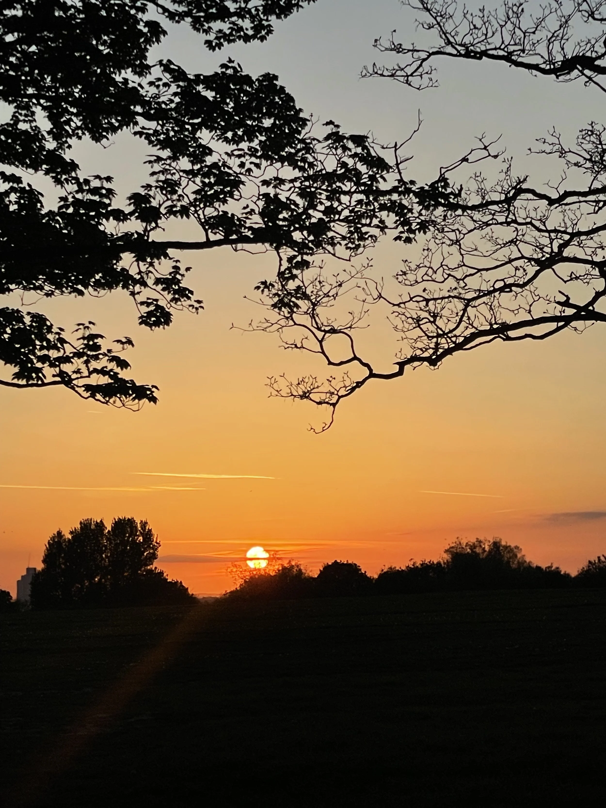 Burnout: More Than Just Being Tired – Understanding the Experience and How Therapy Can Help