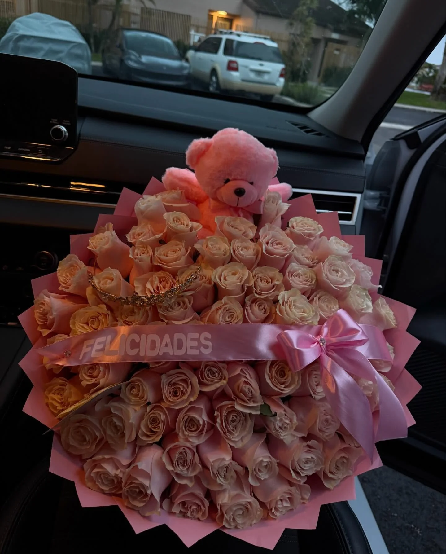 100  p i n k  r o s e s