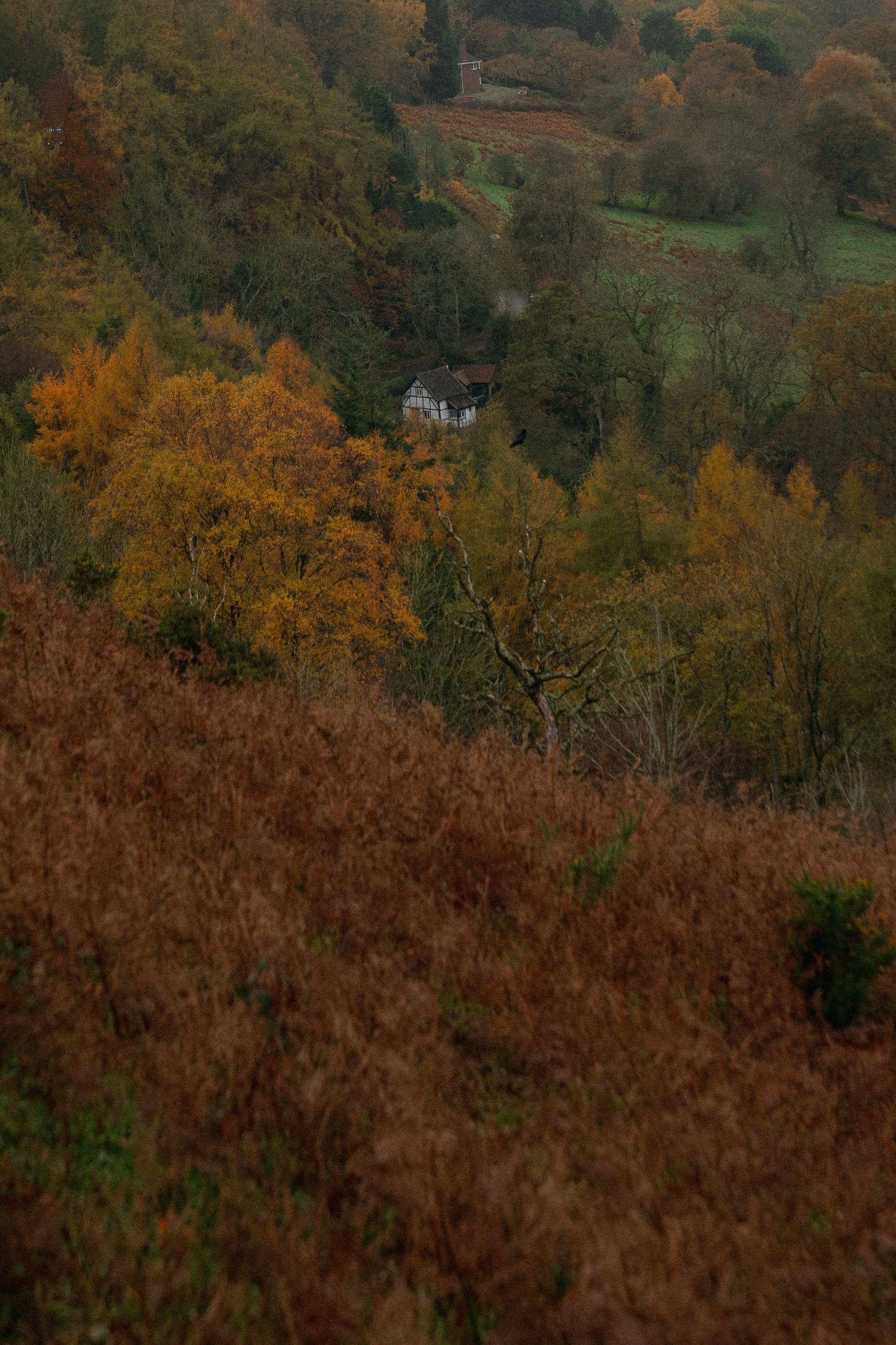 malvern-hills-house.jpg