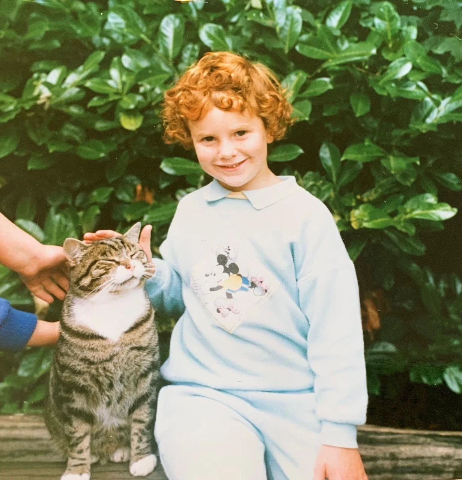 Child petting a tabby cat – friendly and caring cat sitter service