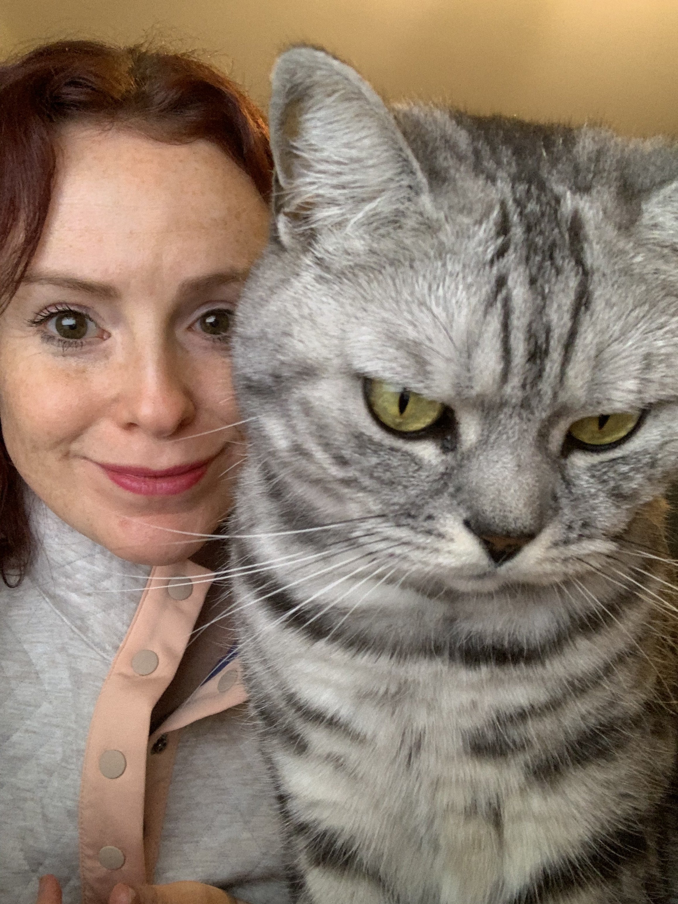 Emily with a silver tabby cat – trusted cat sitter Highams Park
