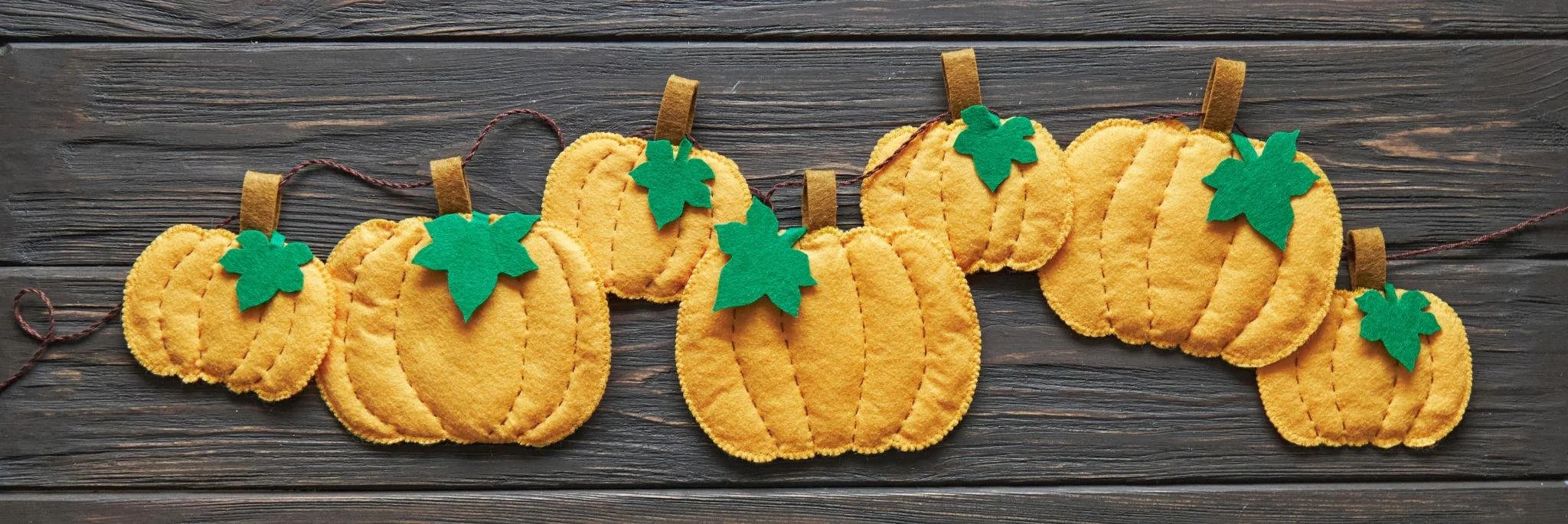 Thanksgiving Felt Craft for Kids!