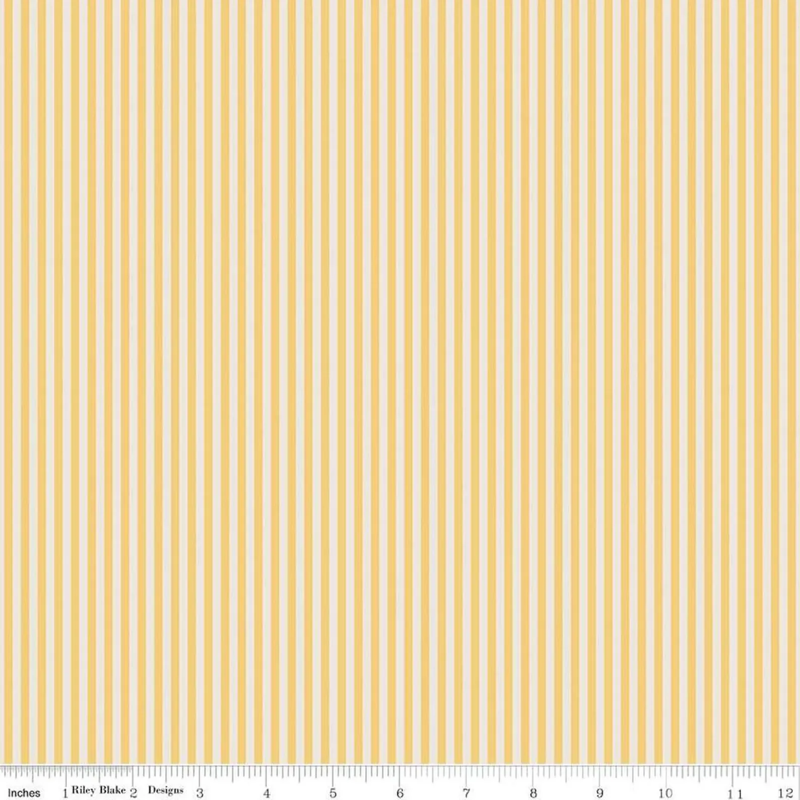 1/8" Stripe on Ivory Honey