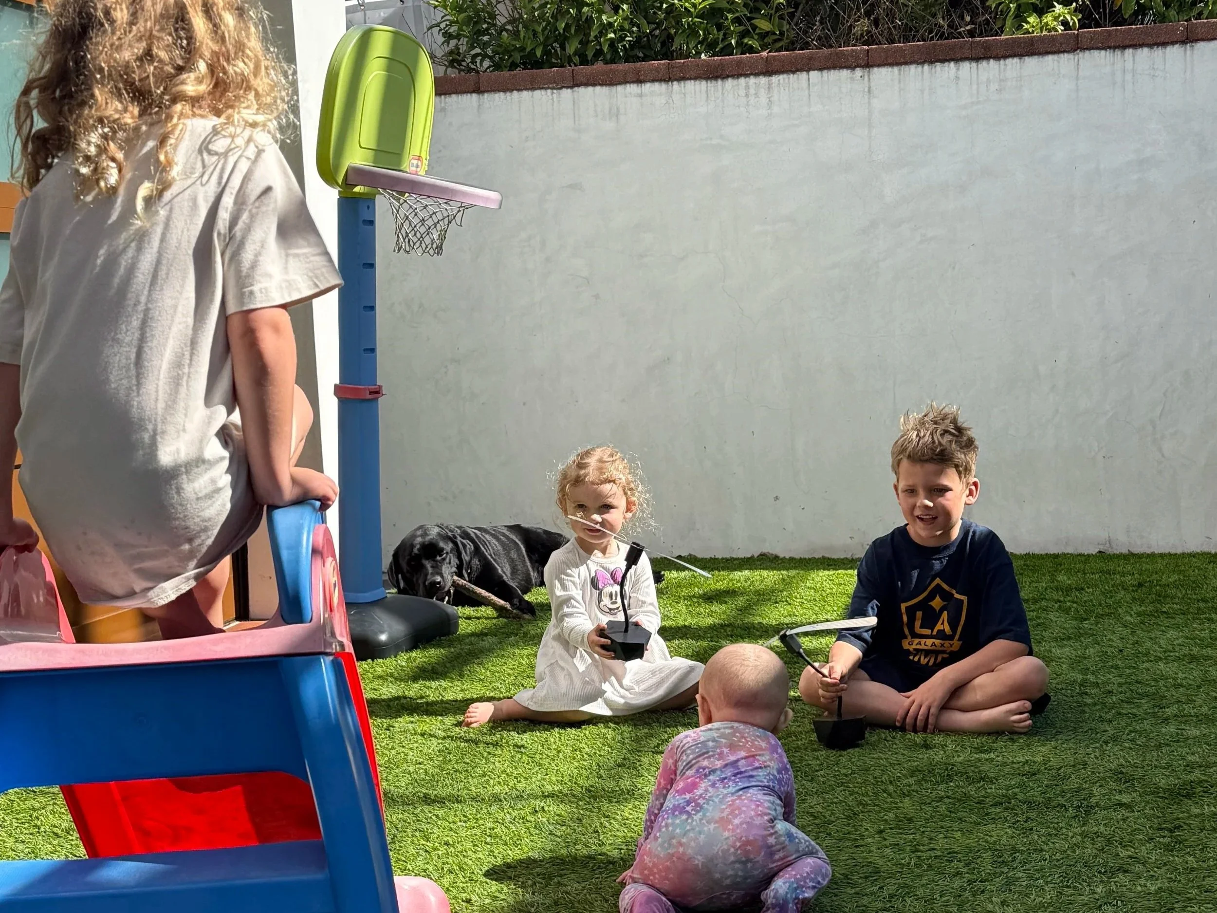 A group of children and a dog sitting on the grass in a backyard during daytime, with some children playing and others watching, and a small basketball hoop installed on the wall.