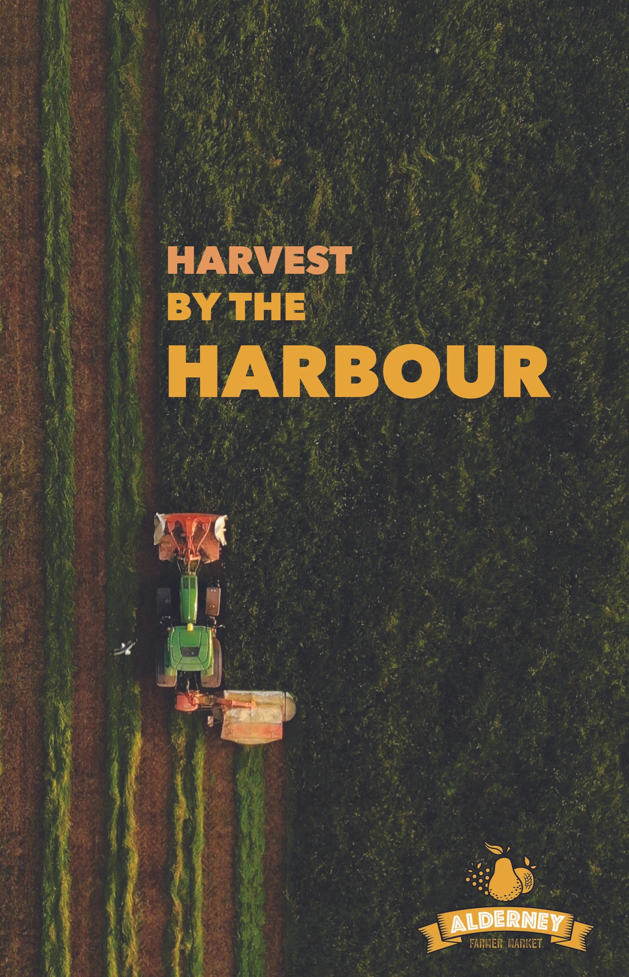 alderney final_Page_3.jpg