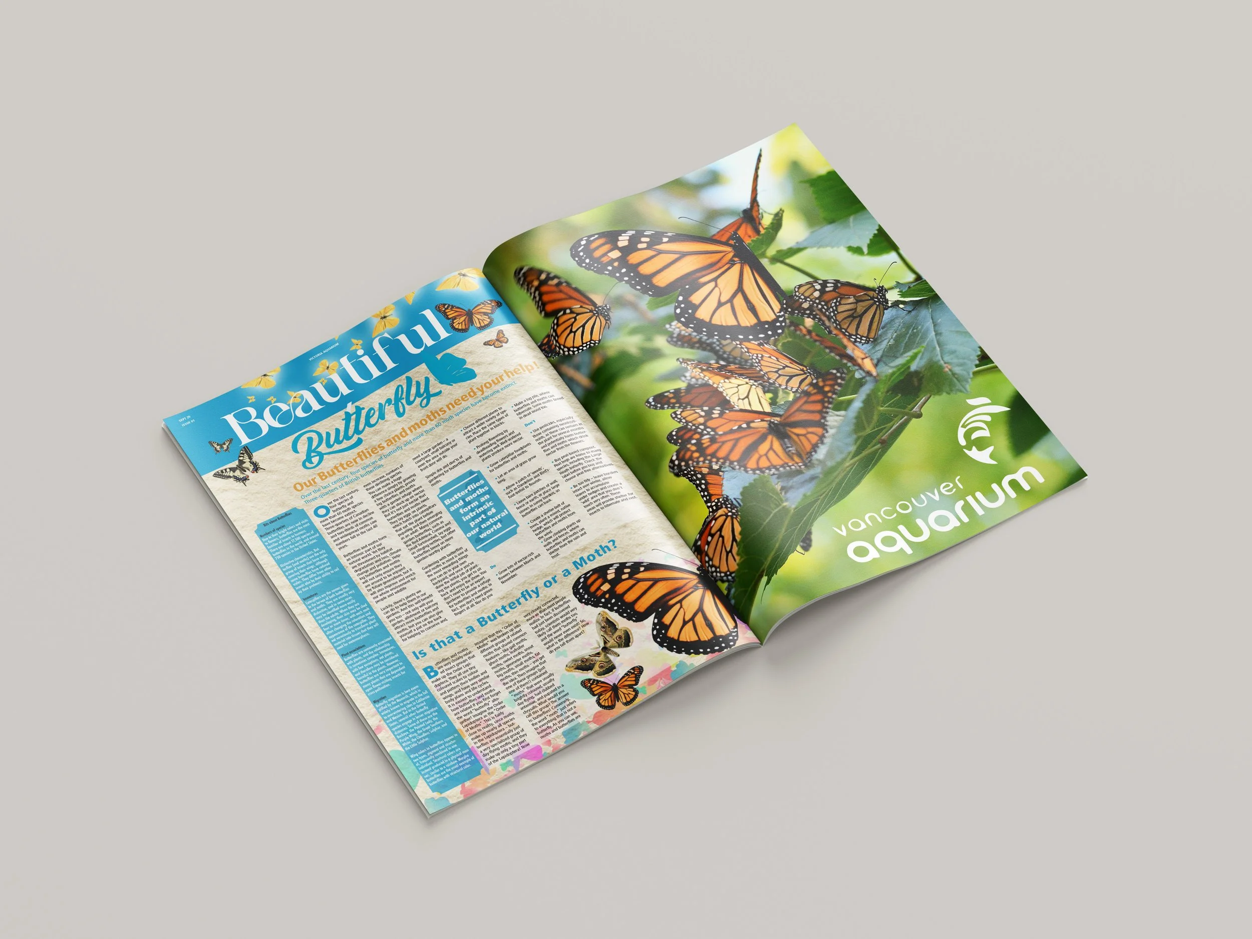 Open magazine featuring illustrations of butterflies and a photograph of live butterflies on green leaves, with text about Vancouver Aquarium and butterfly facts.
