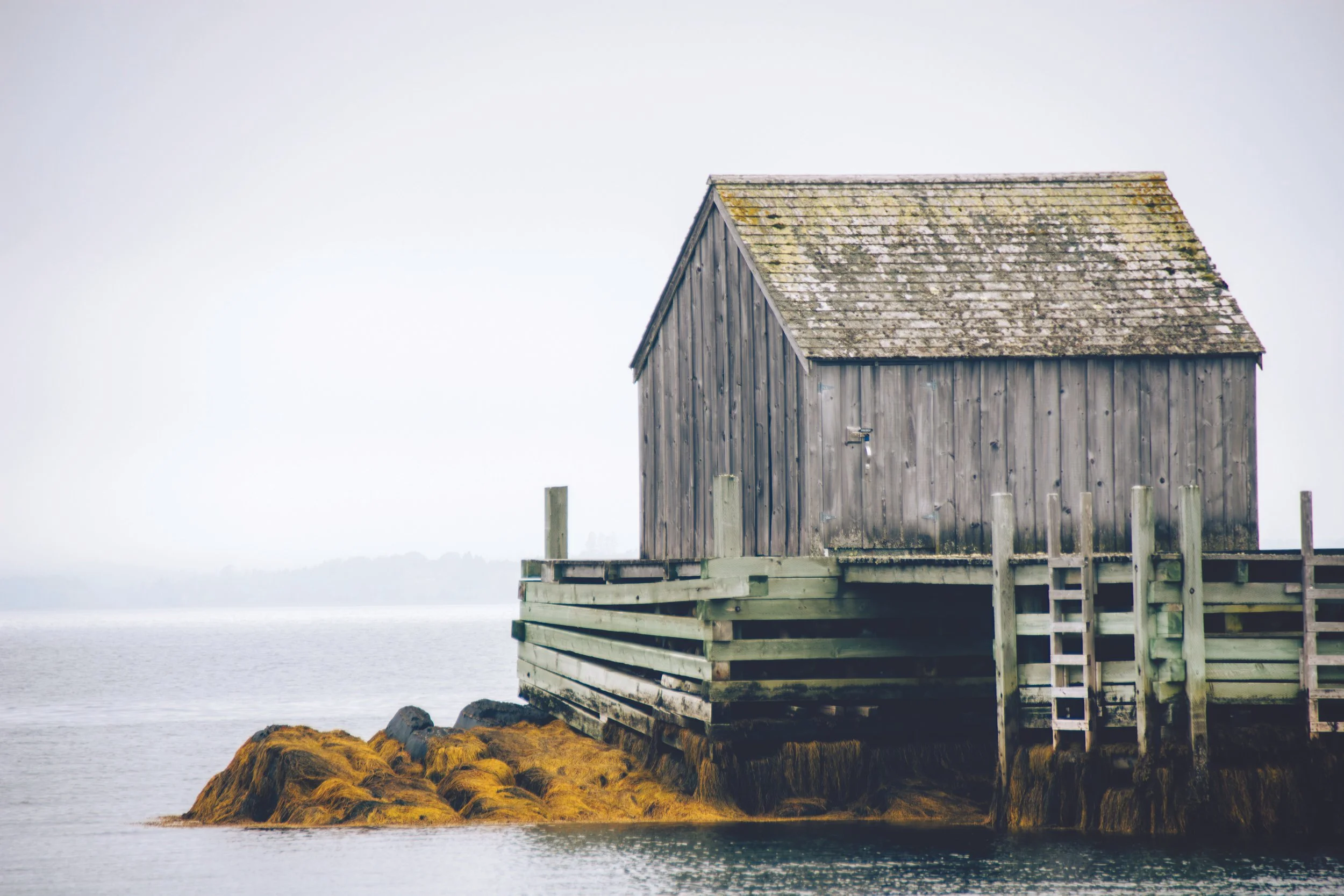 A small wooden house on the water built on rocks with a mossy shoreline, surrounded by a foggy landscape.