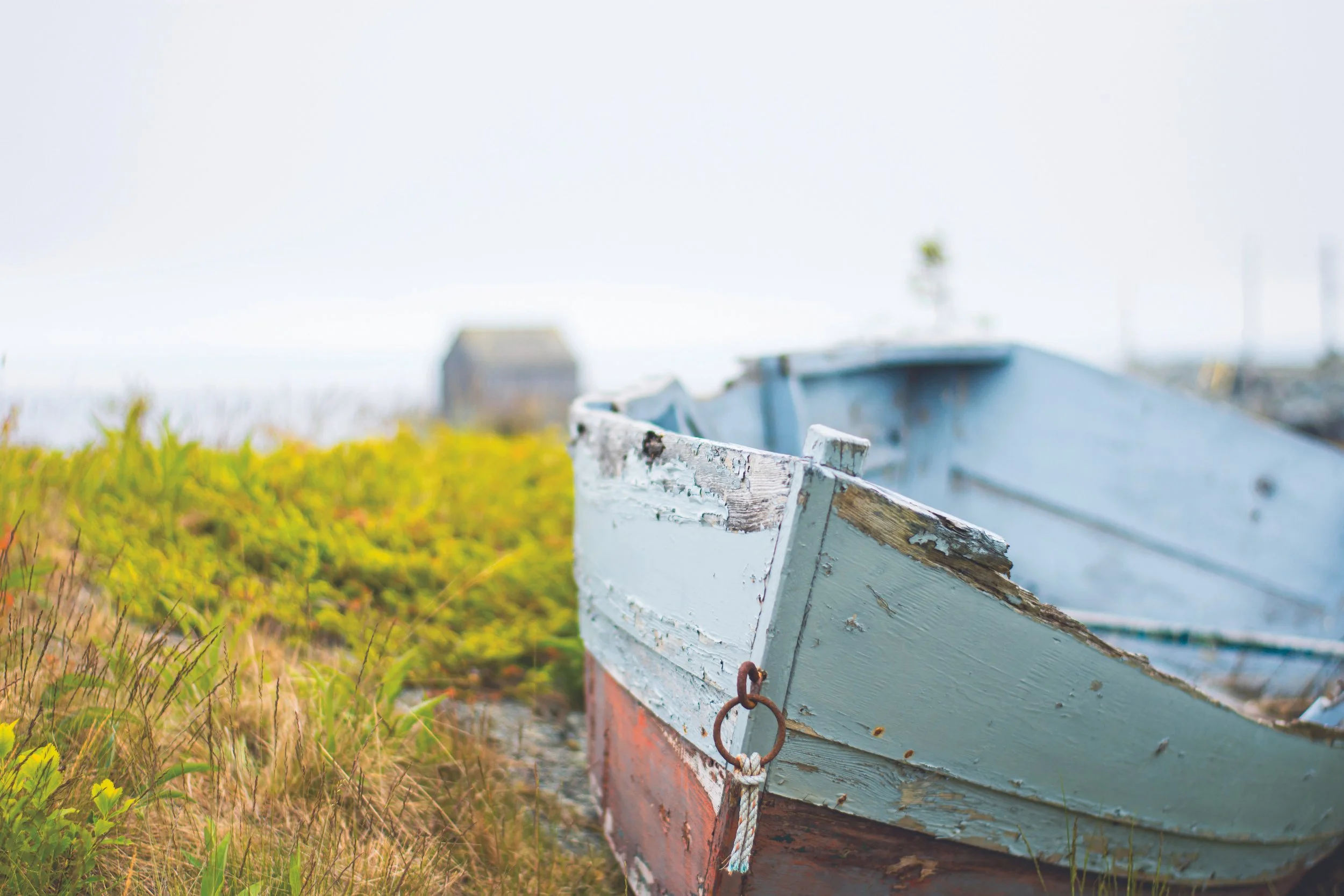 An old weathered boat resting on grass near the water, with peeling paint and rusty hardware.