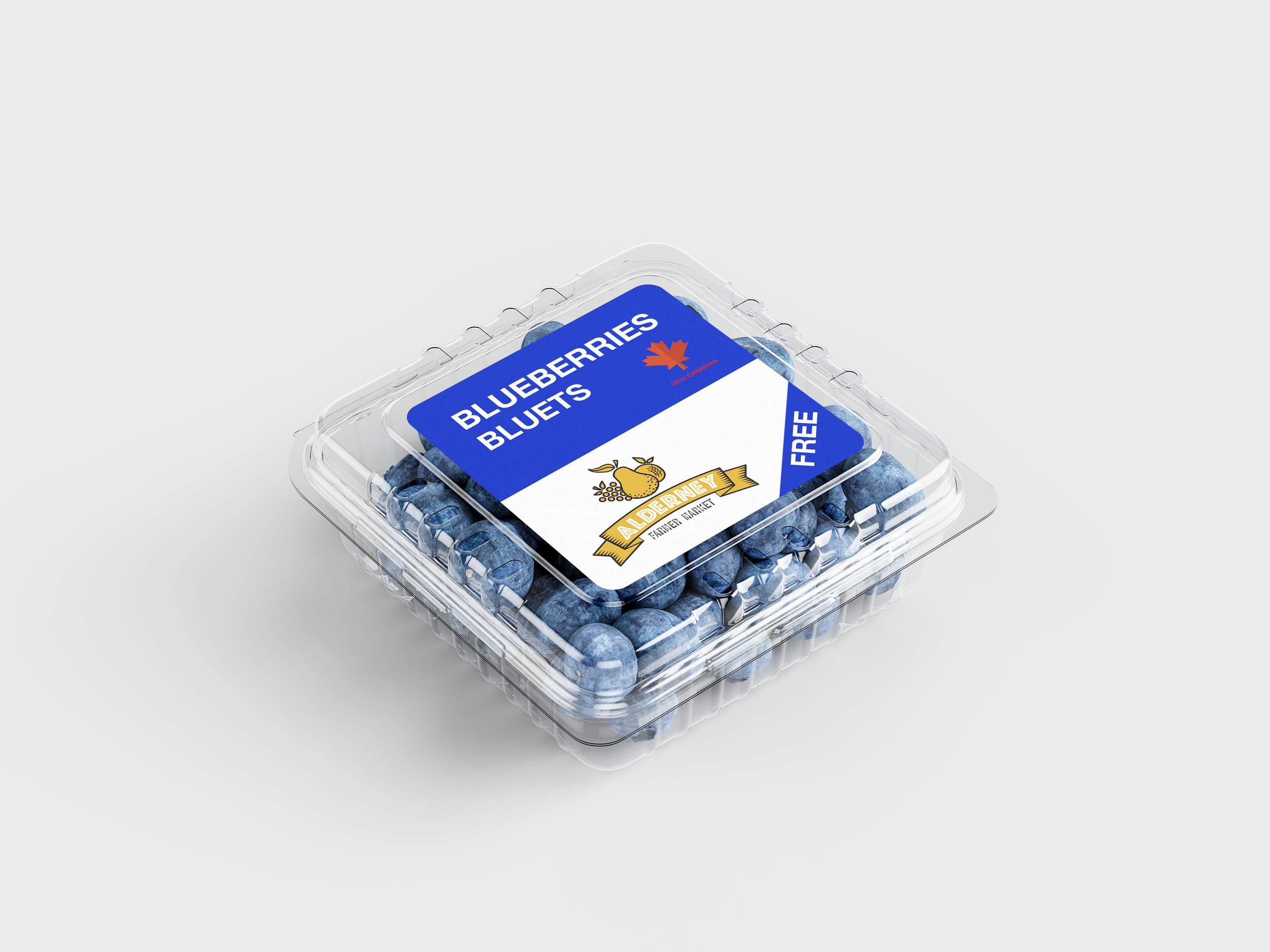 Blueberries_Container_Mockup_1.png