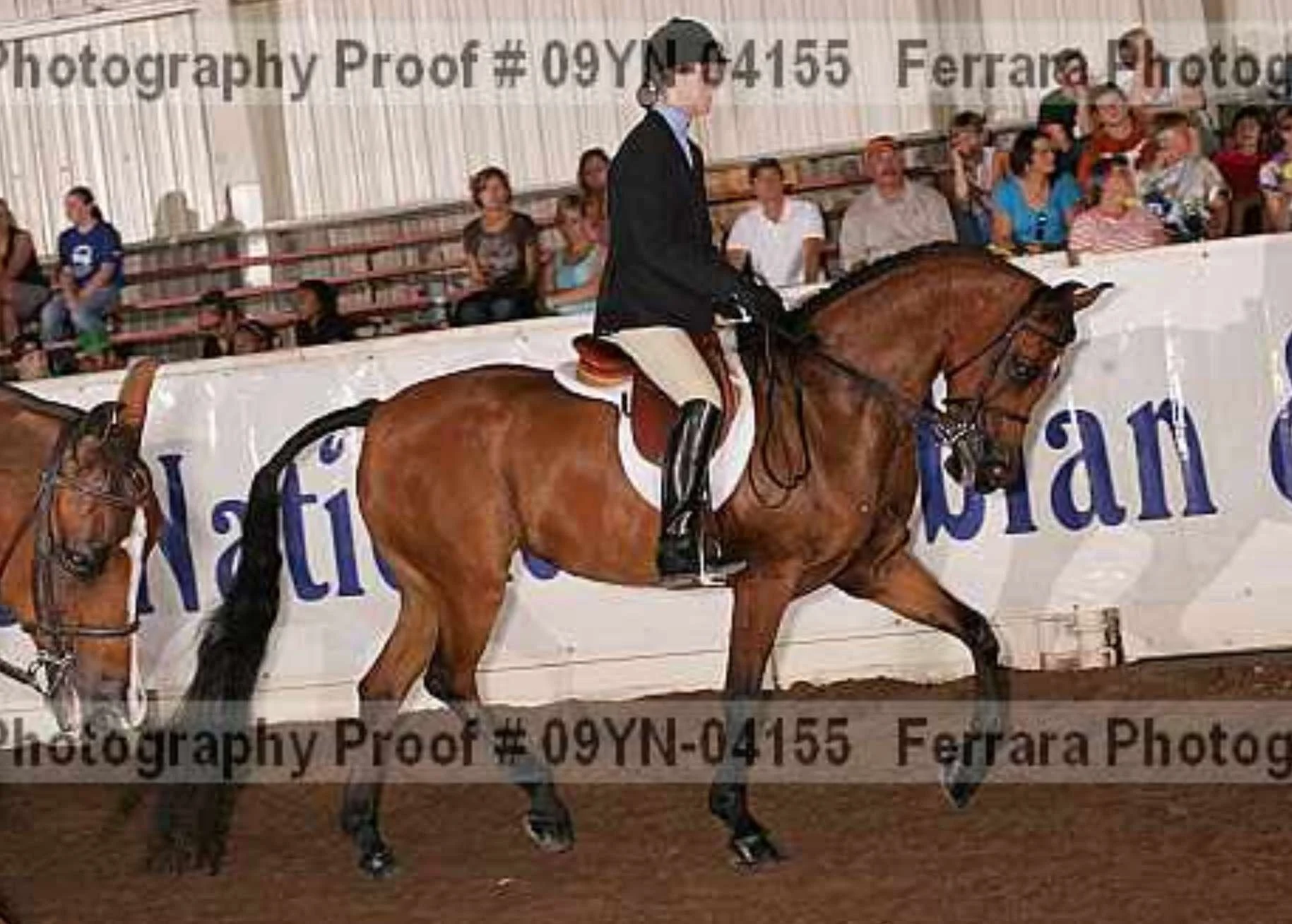 Arabian Youth Nationals 2009 - Hunt Seat Eq. JOTR