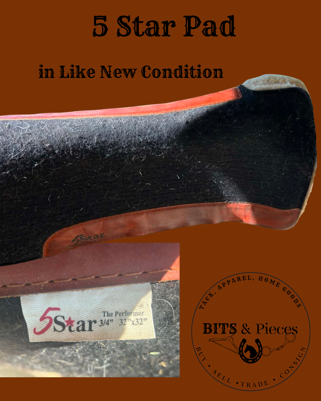 5 Star Saddle Pad- Bonnie.png
