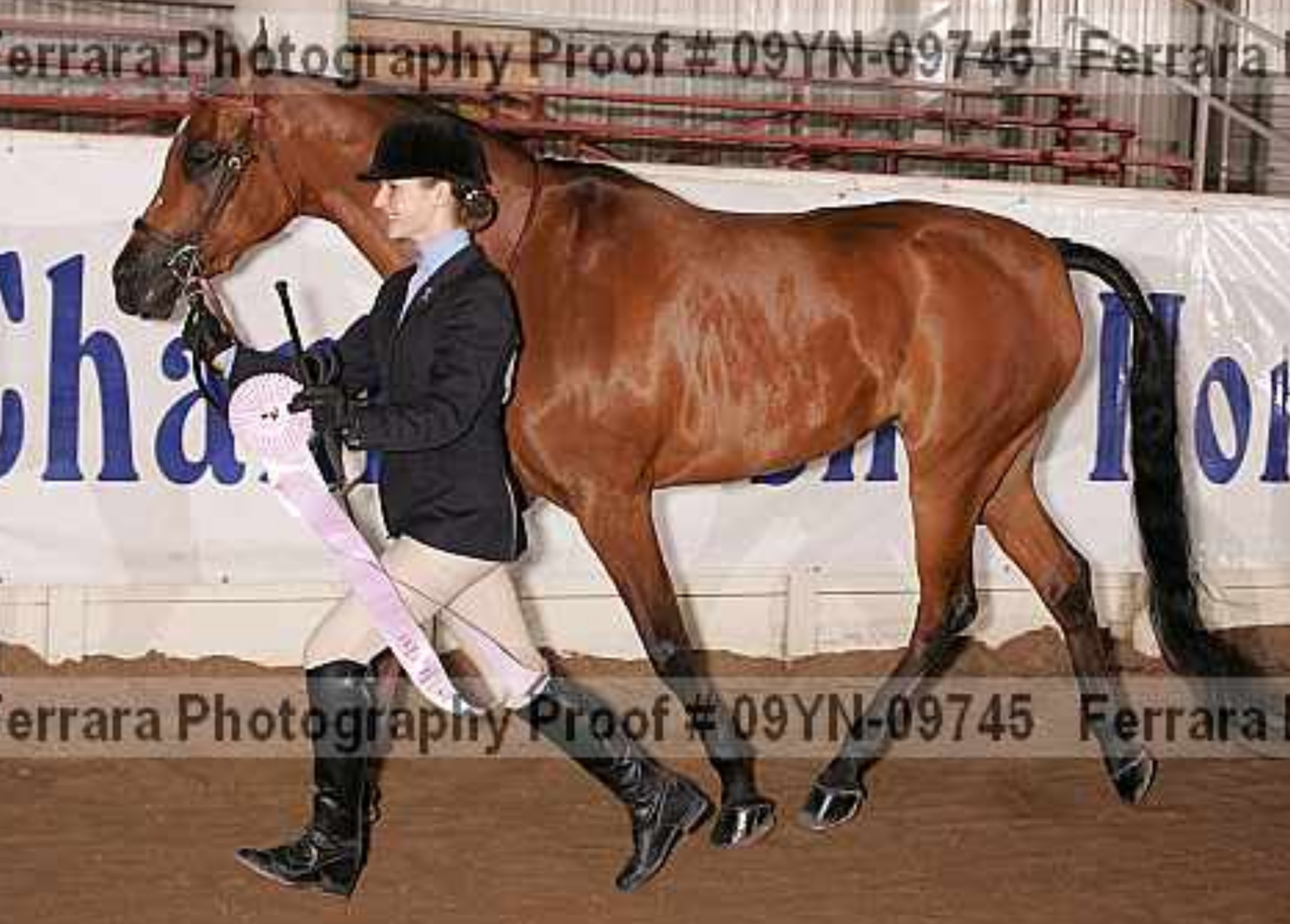 Top 10 Ribbon Earning in Showmanship - Youth Nationals 2009