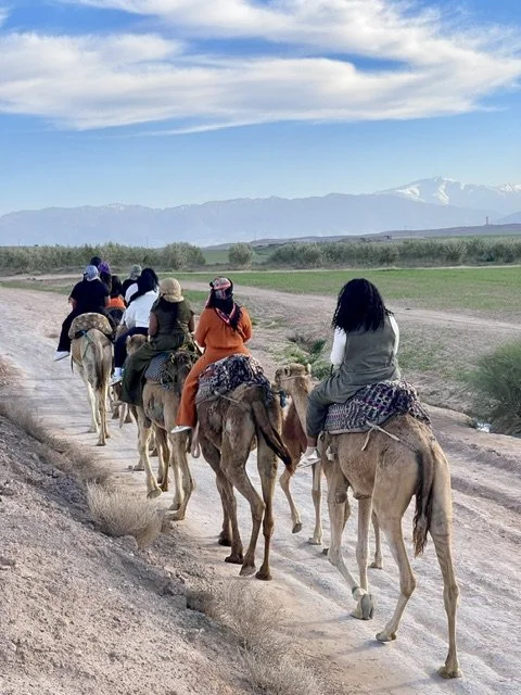 Travelers riding camels across a desert landscape