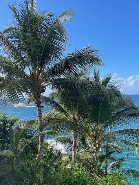Palm trees overlooking clear blue ocean along tropical coastline