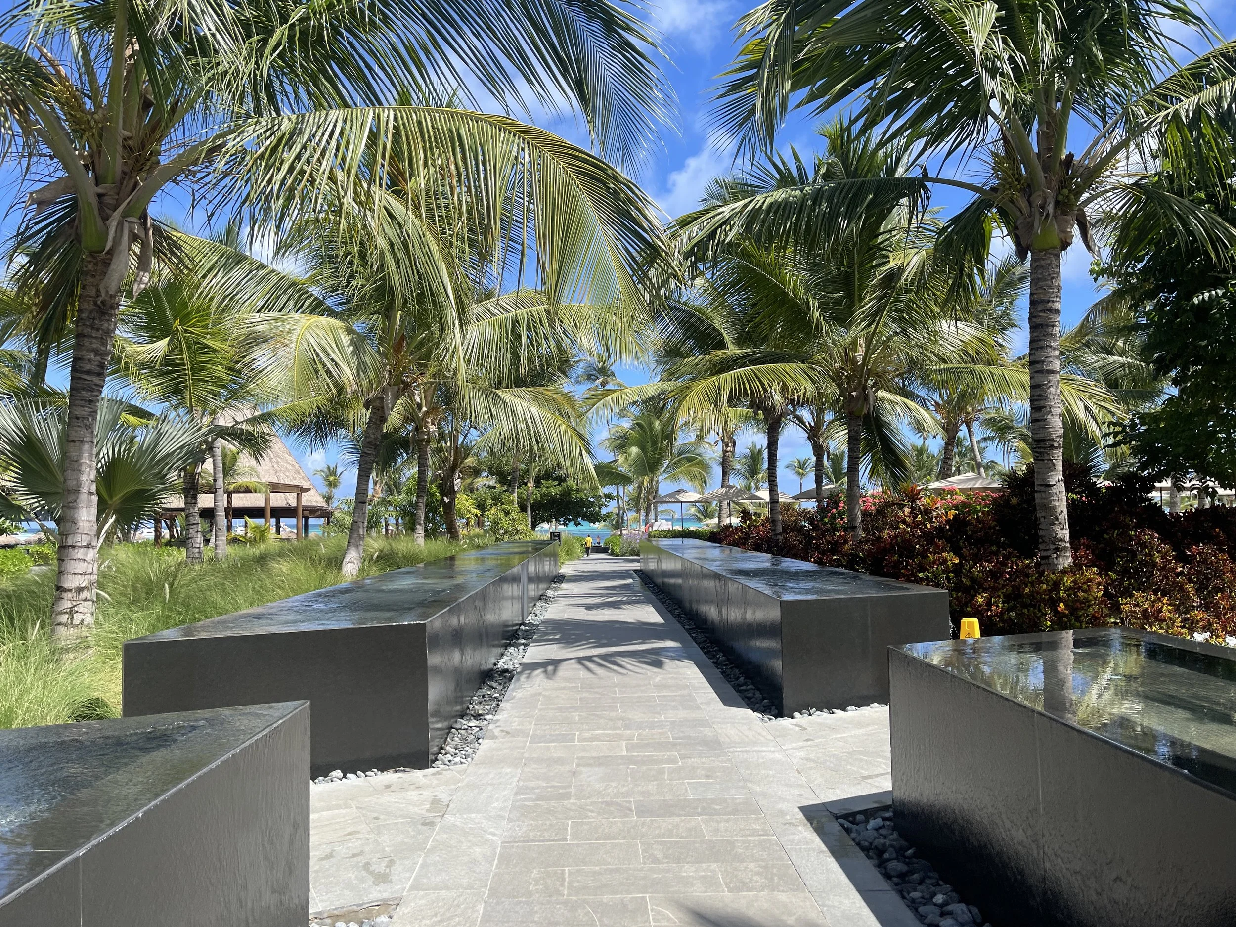 Palm-lined resort walkway leading toward the ocean, designed for a relaxed travel experience
