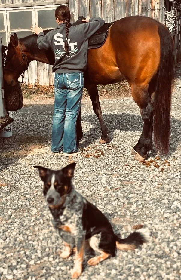 Strong riders are built before they ever step in the saddle.