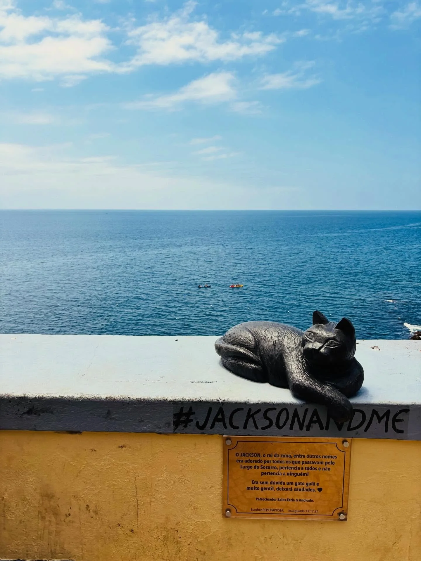 POV: You book holidays in Madeira&hellip; #portugal #madeira #tour #travel #visitmadeira