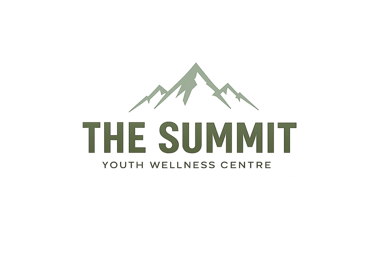 The Summit Youth Wellness Centre  