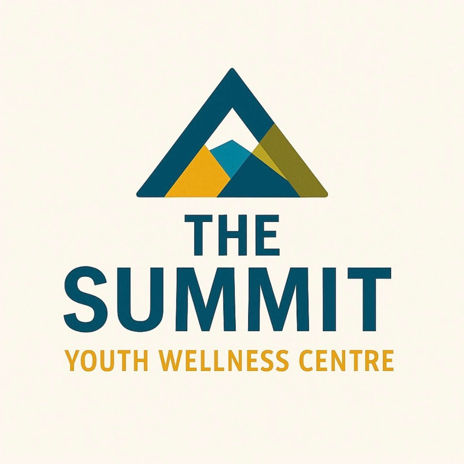 The Summit Youth Wellness Centre  