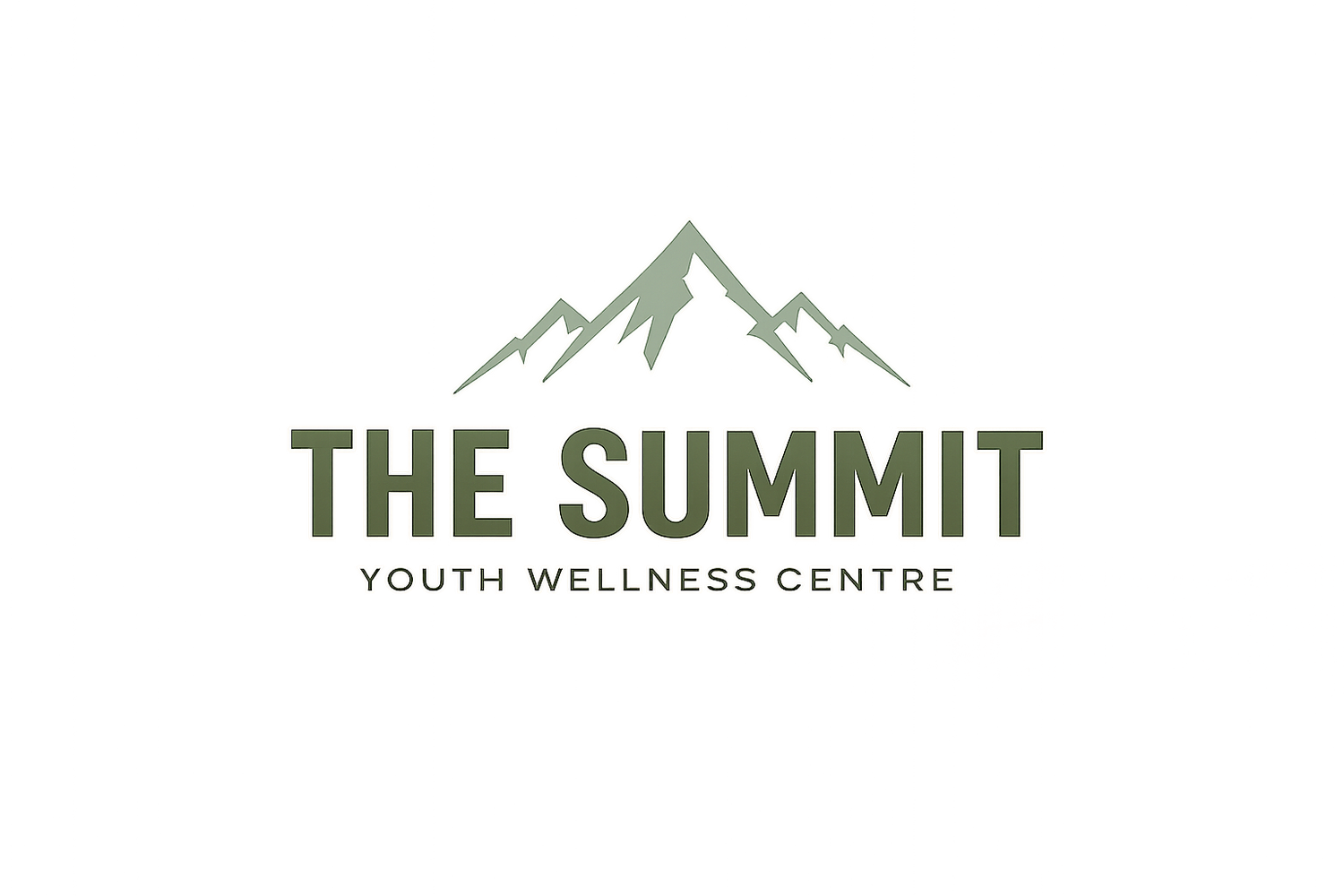 The Summit Youth Wellness Centre  