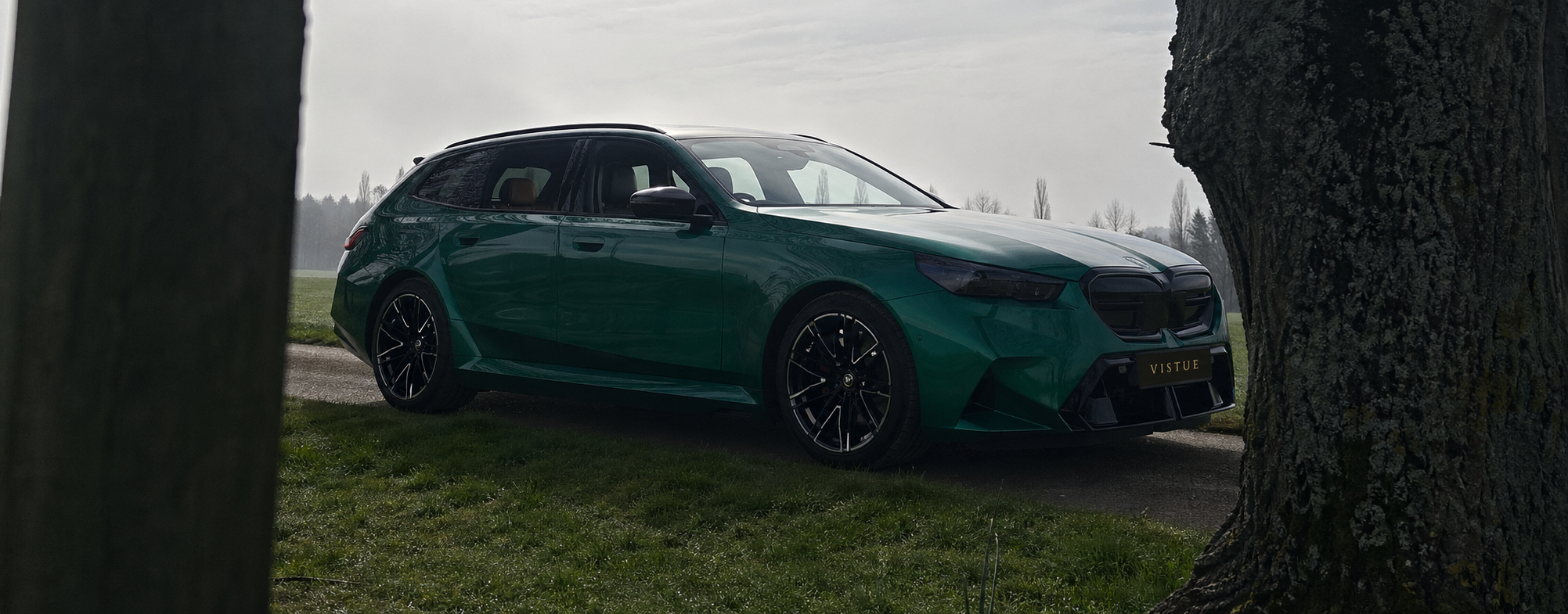 A green BMW M3 touring parked on a grassy area between two large trees, with overcast sky in the background.
