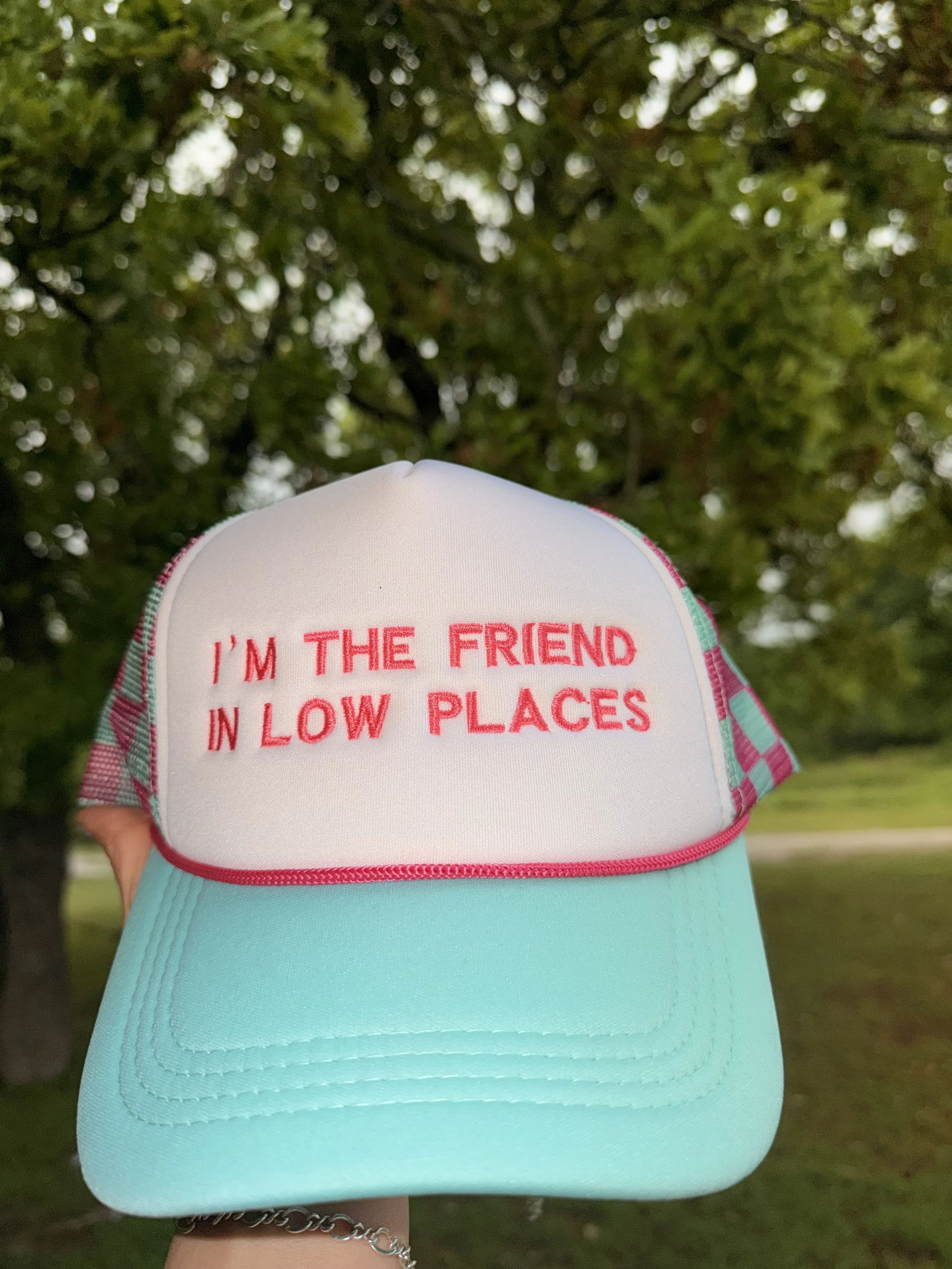 Friend in Low Places