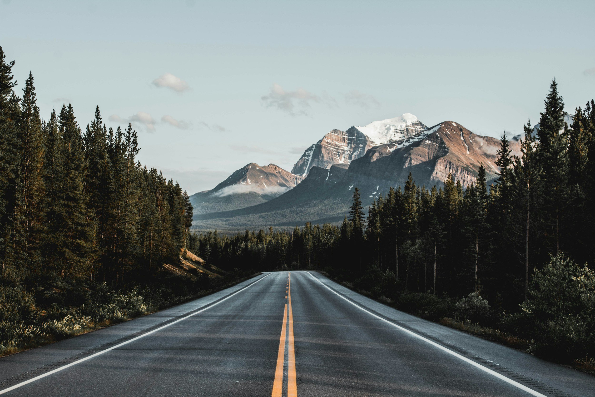 Empty two-lane road with double yellow lines, leading towards mountains covered with snow, flanked by dense evergreen forests.