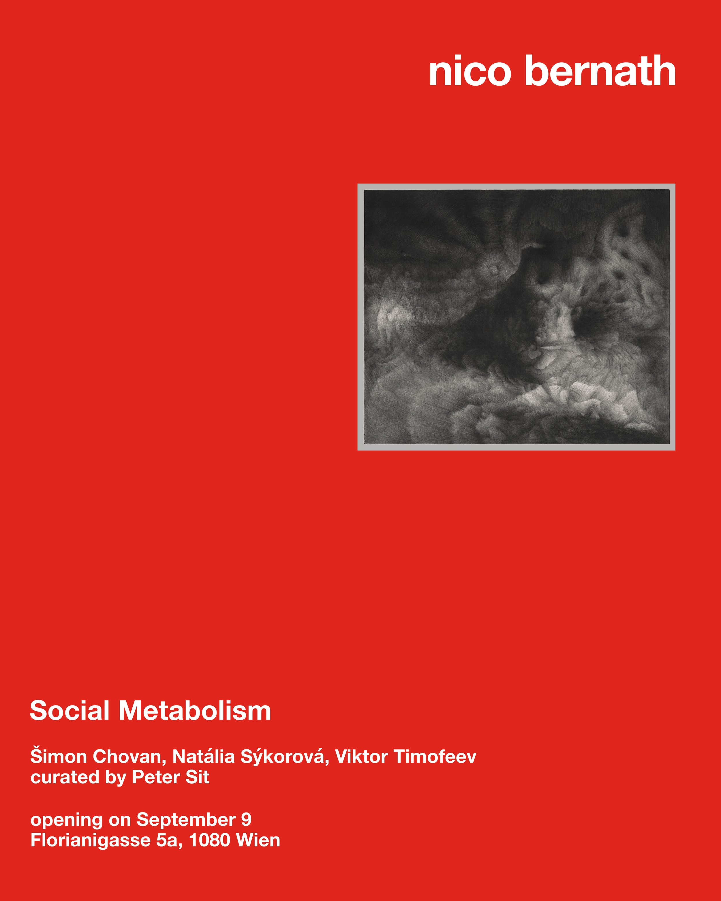 Social Metabolism