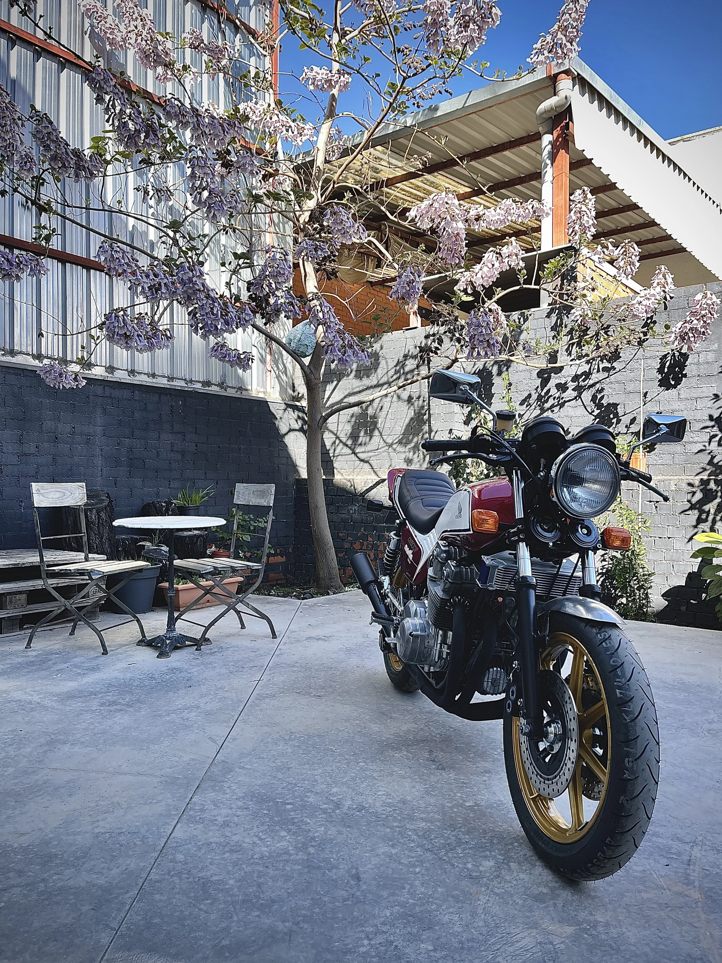 IMG_4847.JPG