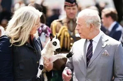It was an incredible honor to meet Their Majesties King Charles III and Queen Camilla and present them with &ldquo;Upperville Charles,&rdquo; a beautiful Kerry Hill lamb born on our farm in Upperville Virginia. 

Our Upperville Flock being presented 
