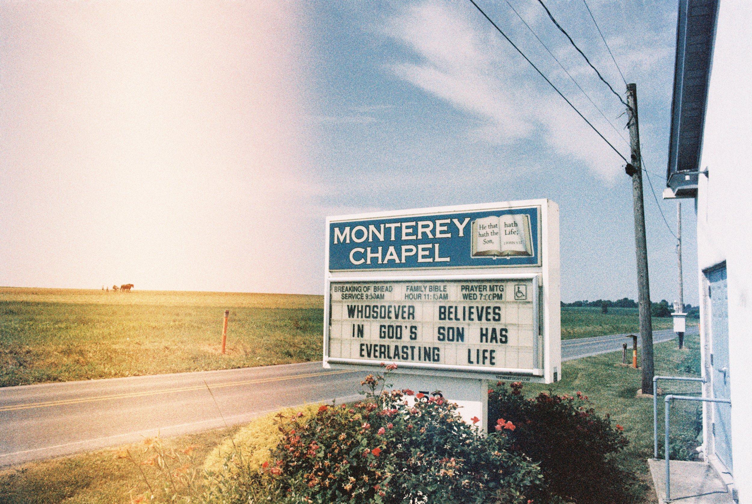 A roadside sign for Monterey Chapel with a quote from John 3:16, and schedule information for services and prayer meeting, beside a grassy field with flowers and a distant cow on the horizon.
