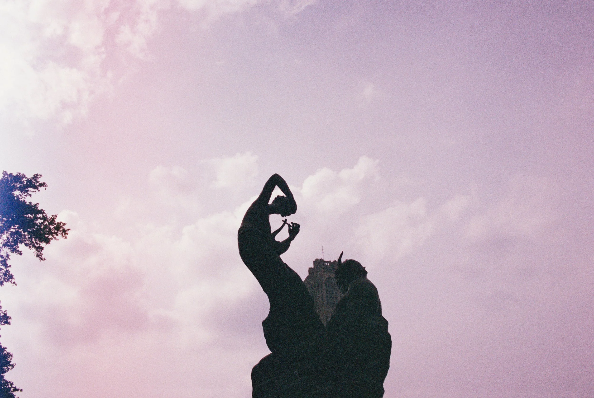 Silhouette of a woman with braided hair, standing on a rock and writing with a pen or pencil, against a pinkish-purple sky with scattered clouds and trees on the side.