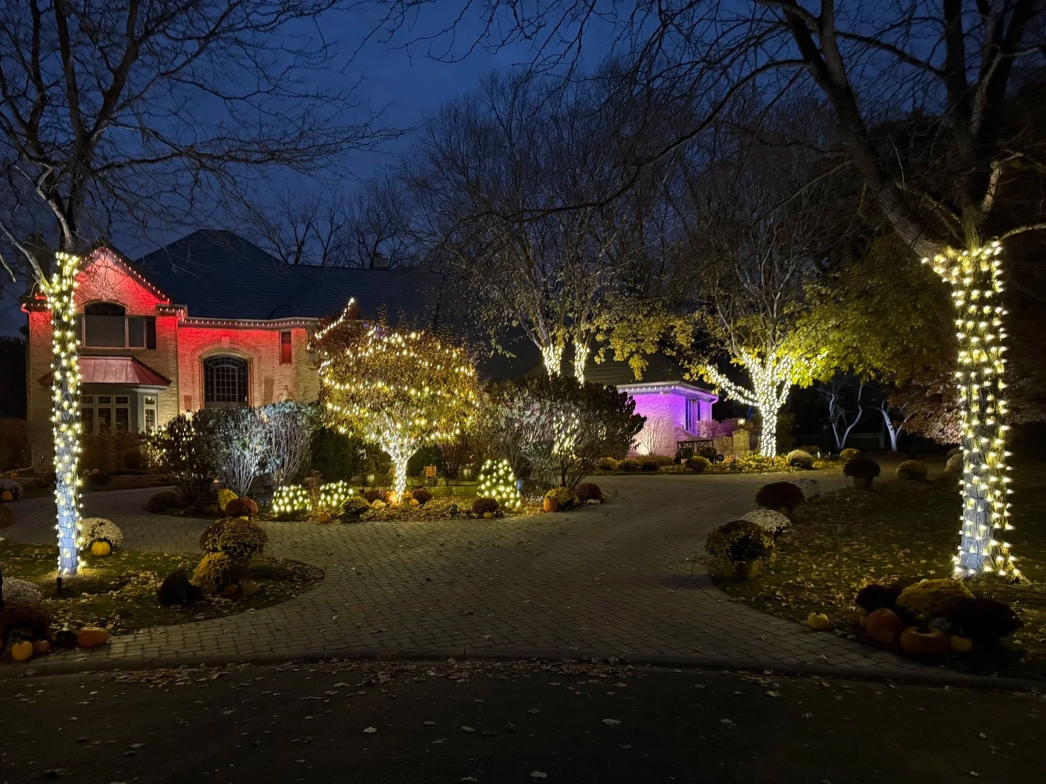 Nighttime view of a house decorated with Christmas lights, with trees wrapped in lights in the front yard, pumpkins and fall decorations, and a cloudy sky overhead.
