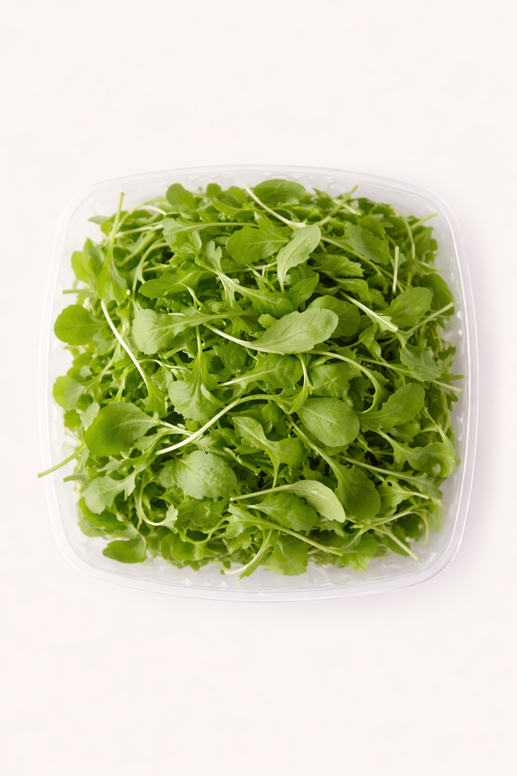 Microgreens: Arugula (4oz)