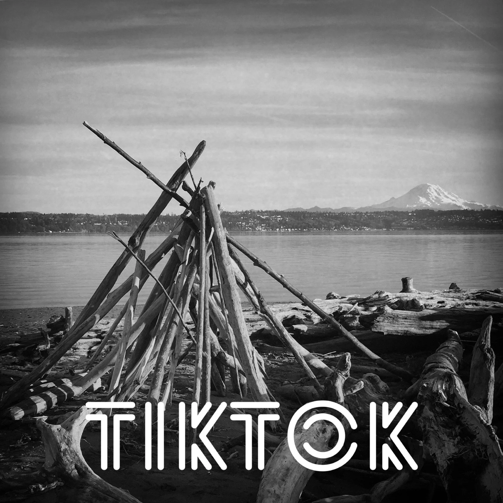 TikTok link. Background photo of a small driftwood structure on a beach with Puget Sound and Mount Rainier in the distance.