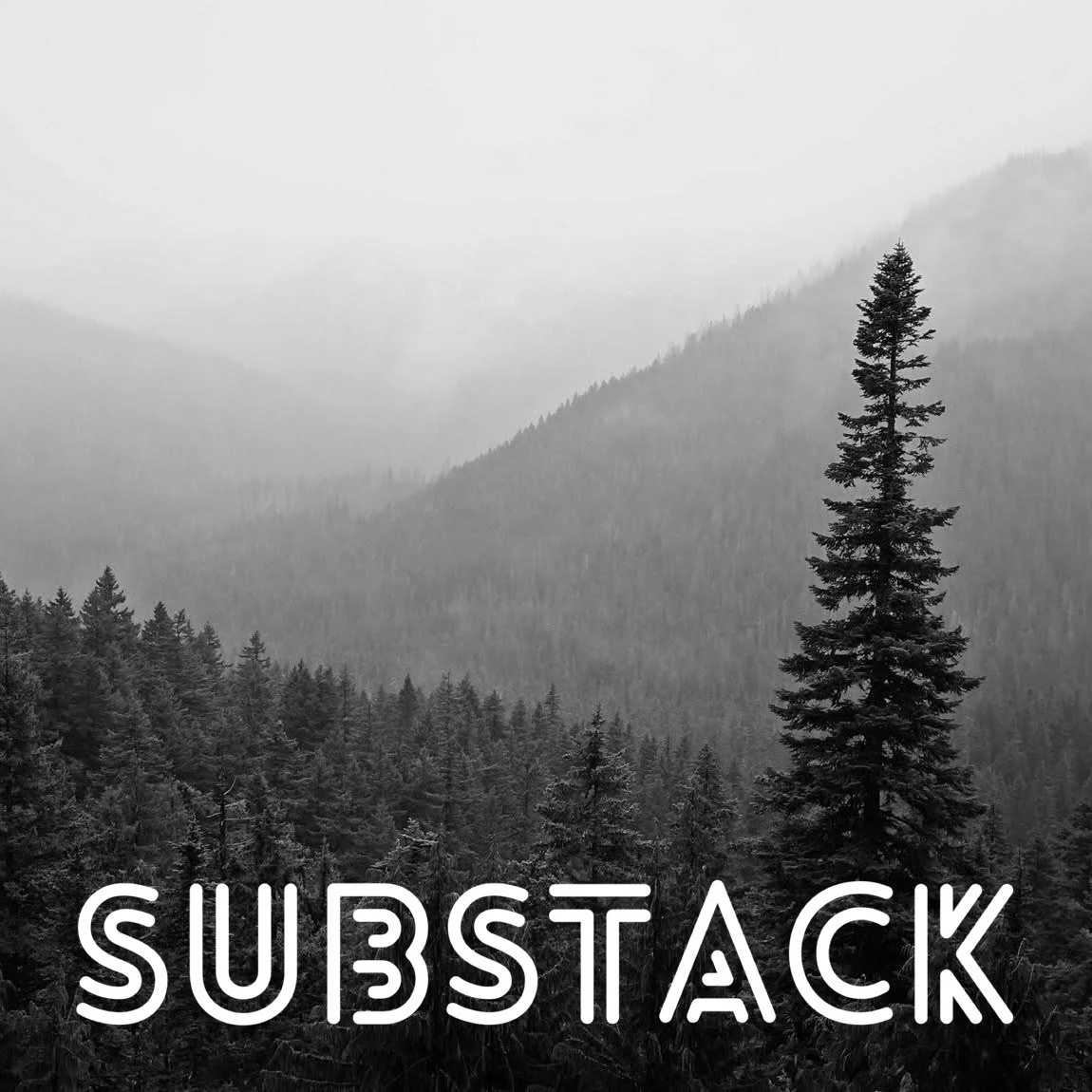 Image for Substack link. Background is a black and white photo of fir trees off of Hurricane Ridge, located in Olympic National Park.
