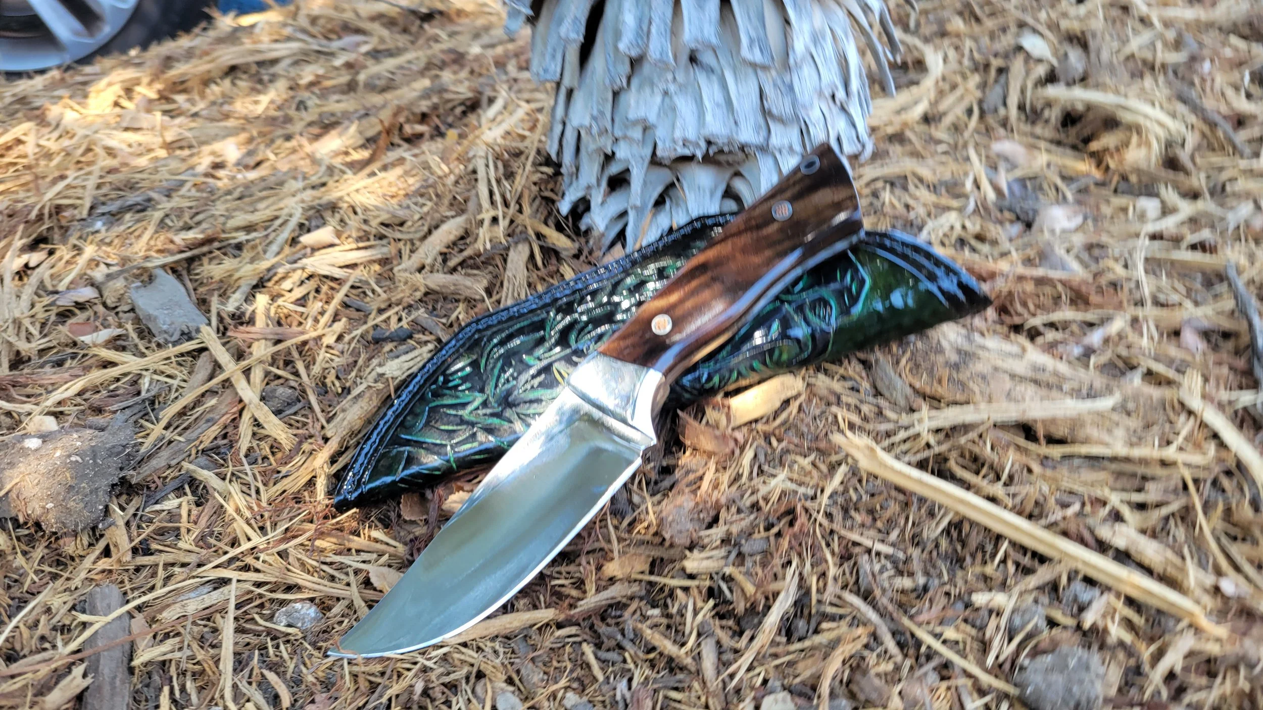 A folding pocket knife with a wooden handle lying on the ground among dry leaves and pine needles near a pine cone.