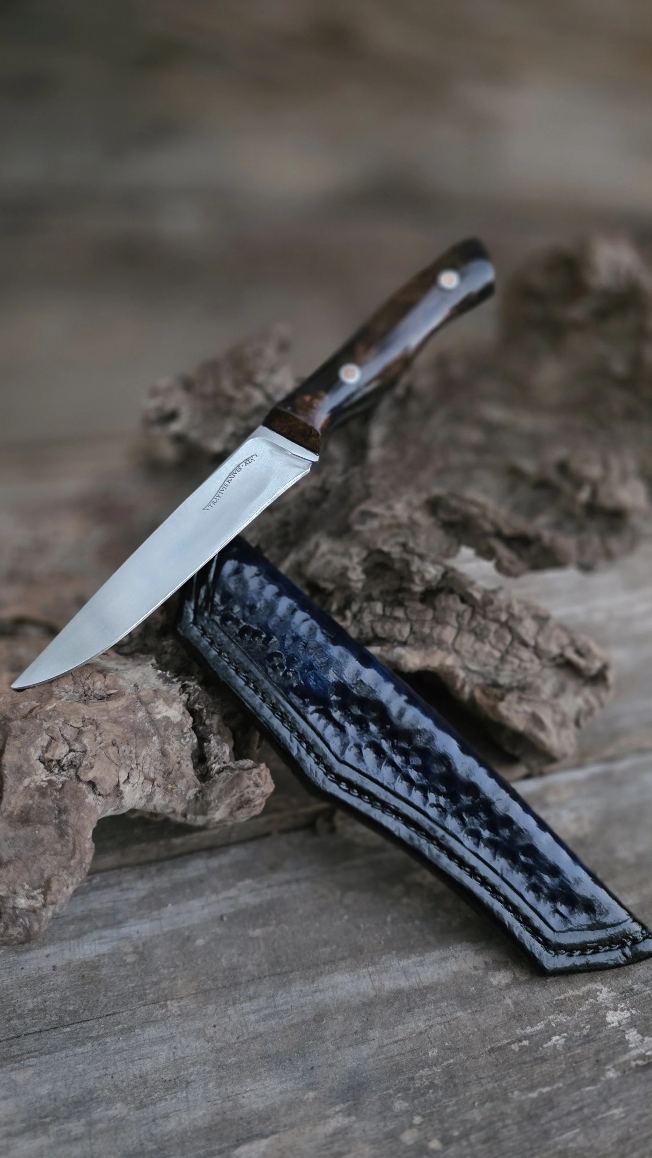 A folding pocket knife with a polished handle and a stainless steel blade, resting on textured wood and bark.