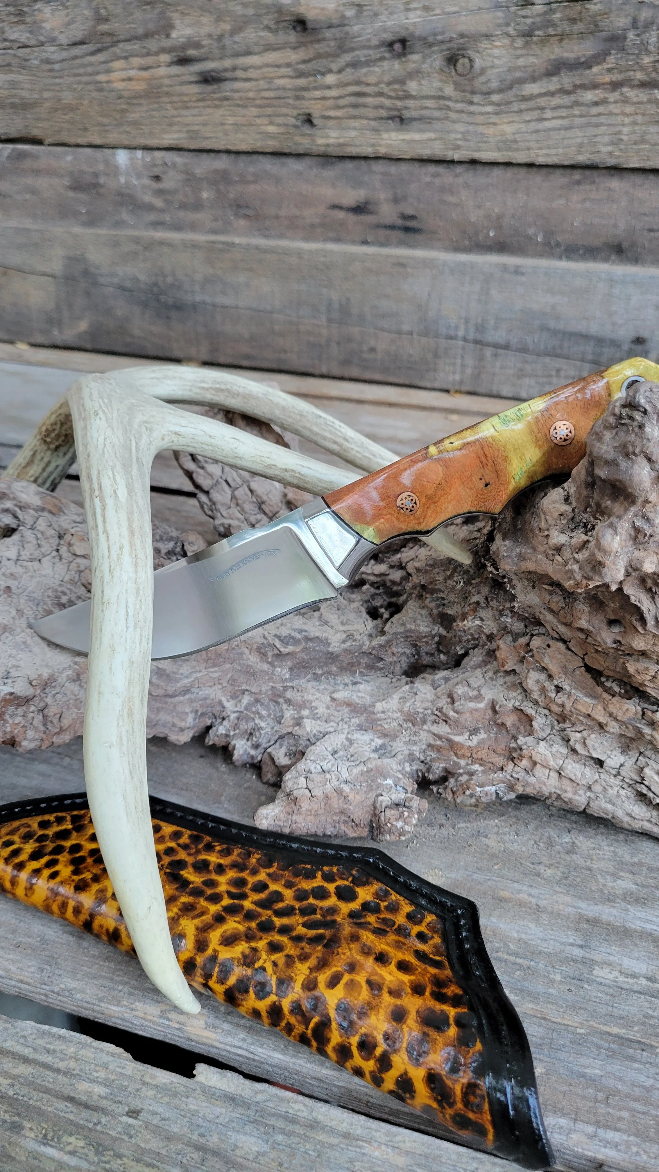 A hunting knife with a multicolored wood handle and a stainless steel blade, resting on a piece of bark. The knife is leaning against a white antler and a yellow-orange patterned object, with a weathered wooden background.