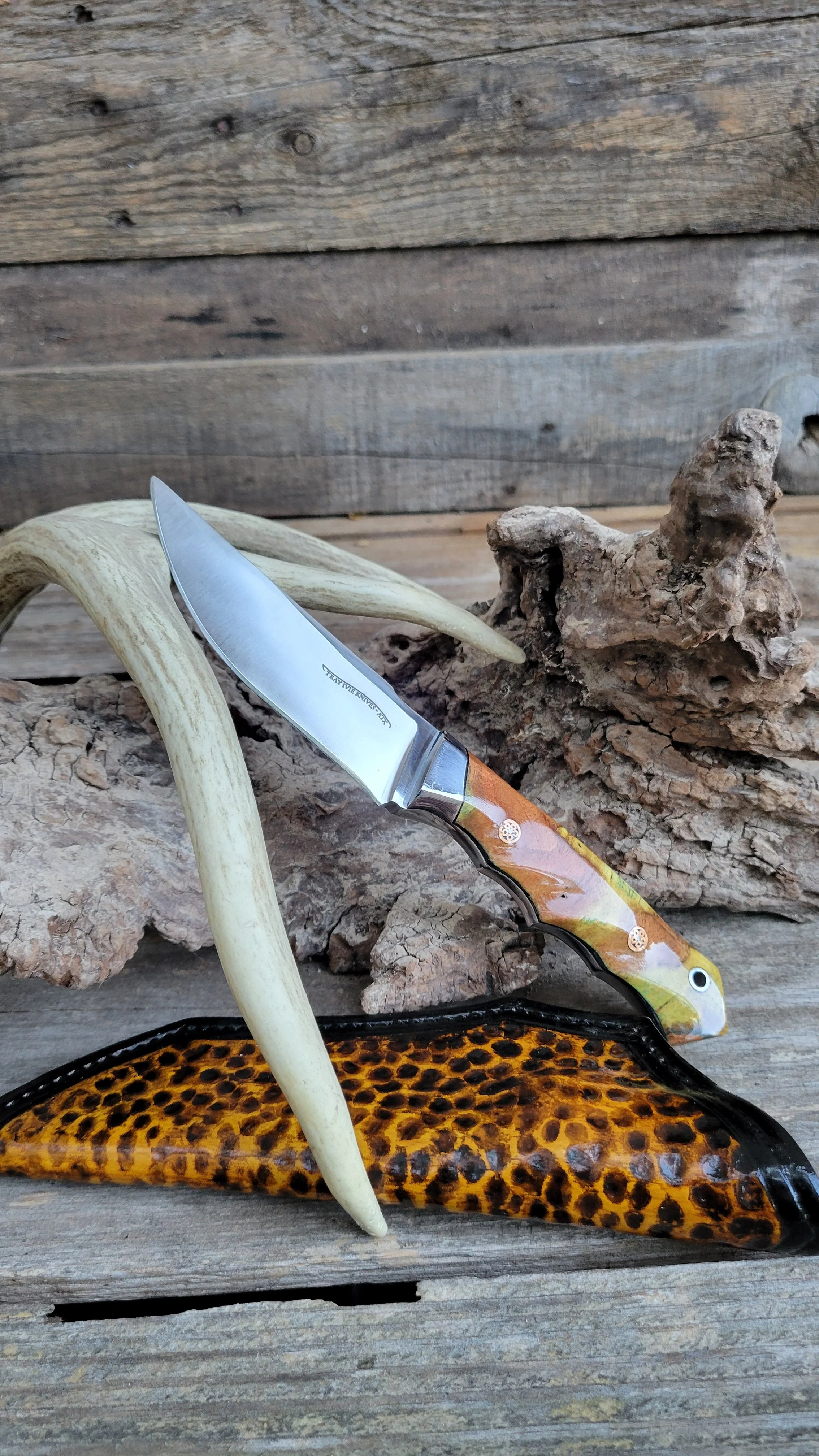 A folding knife with a multicolored handle and a stainless steel blade, resting on a piece of driftwood with a seashell in the background, on a wooden surface.