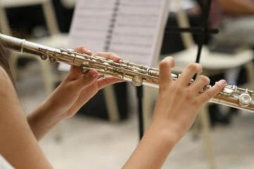 Solo &amp; Ensemble Guide: Steps for Success for Students &amp; Parents