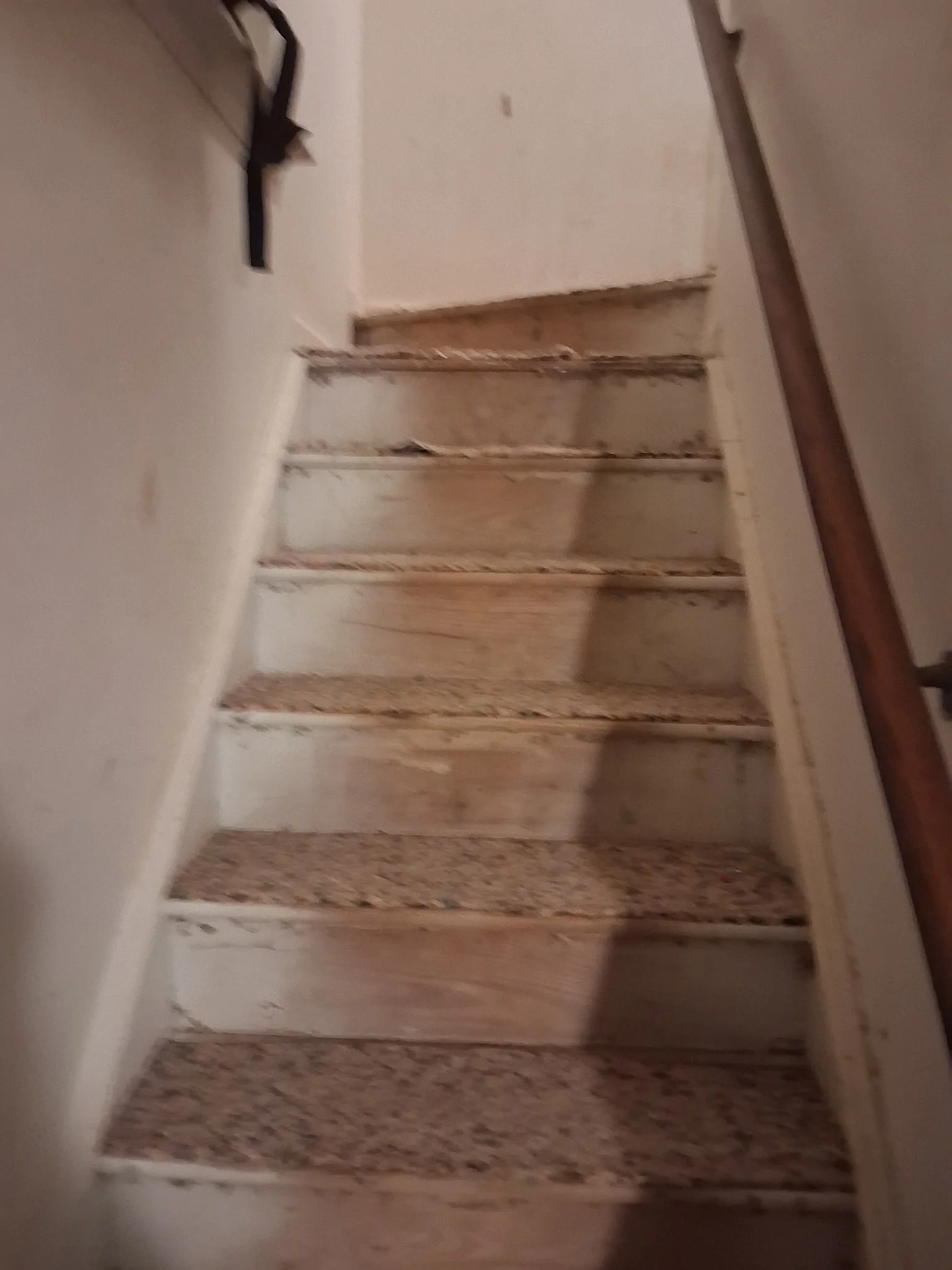 1000004297.jpg