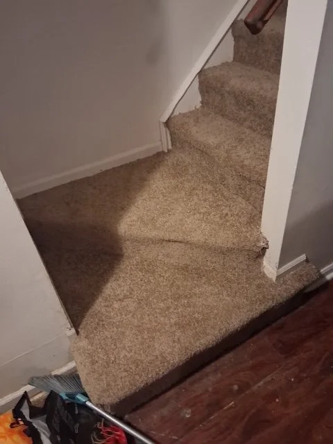 1000004301.jpg