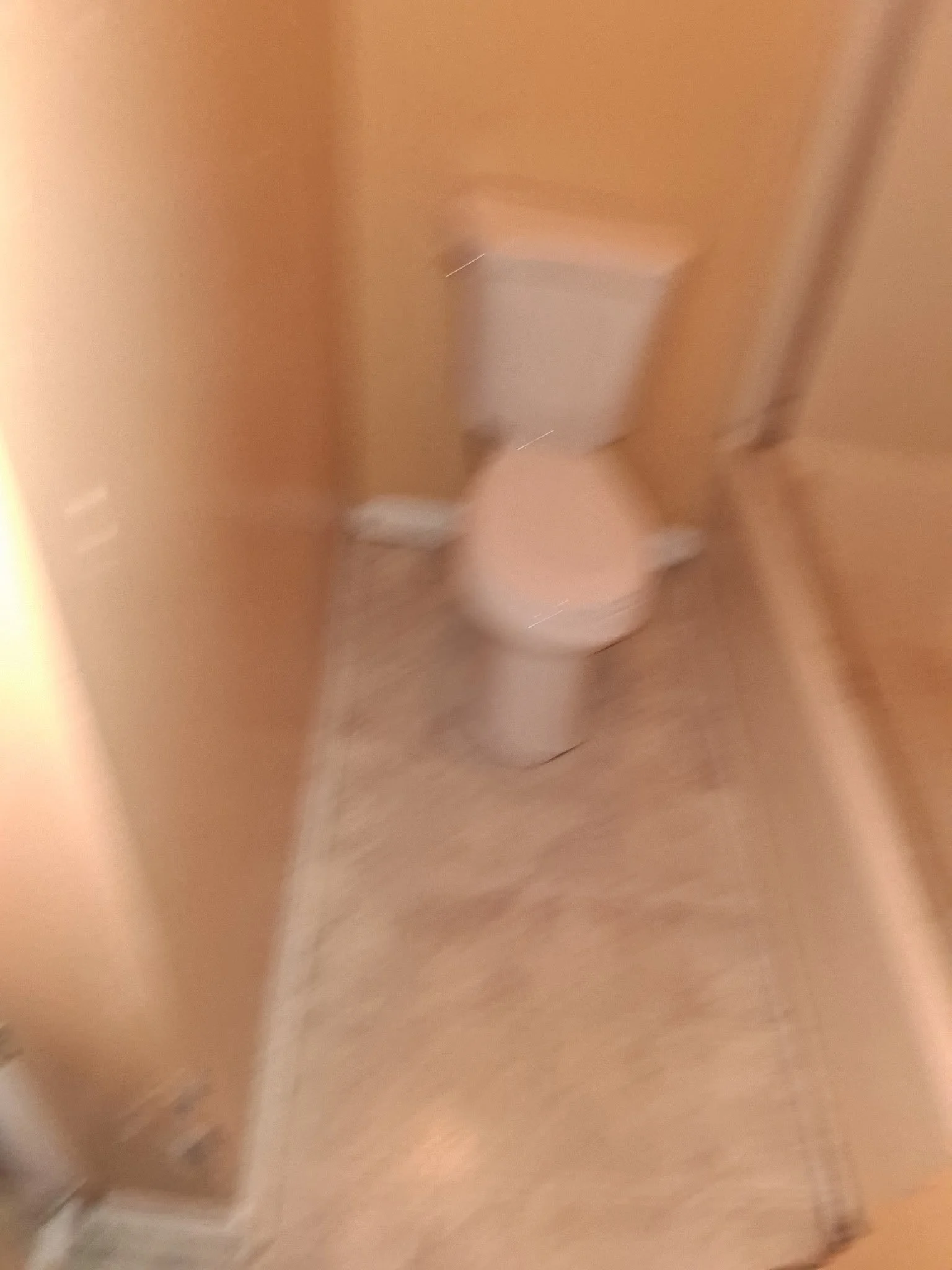 1000004691.jpg
